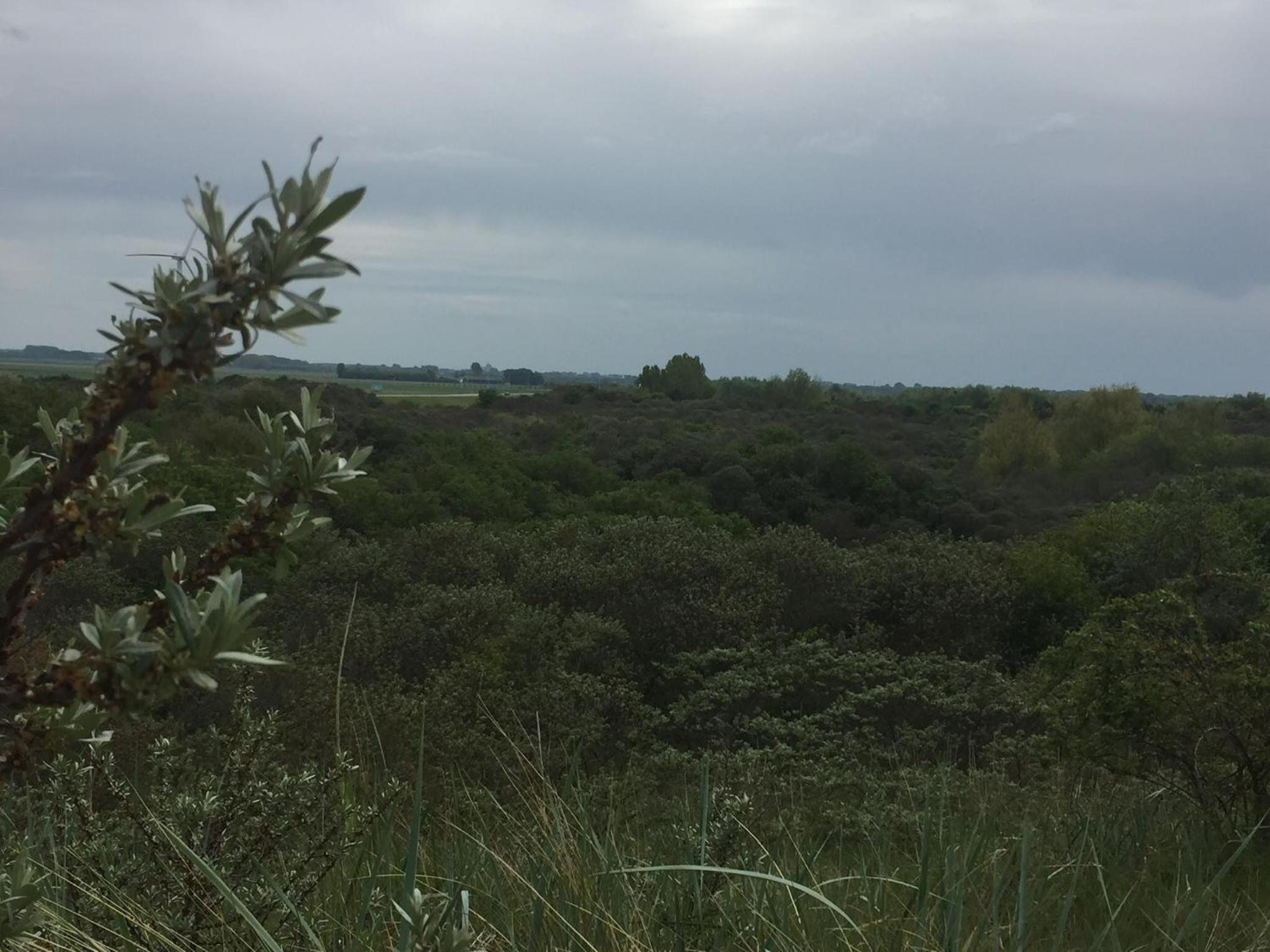 Photo 26