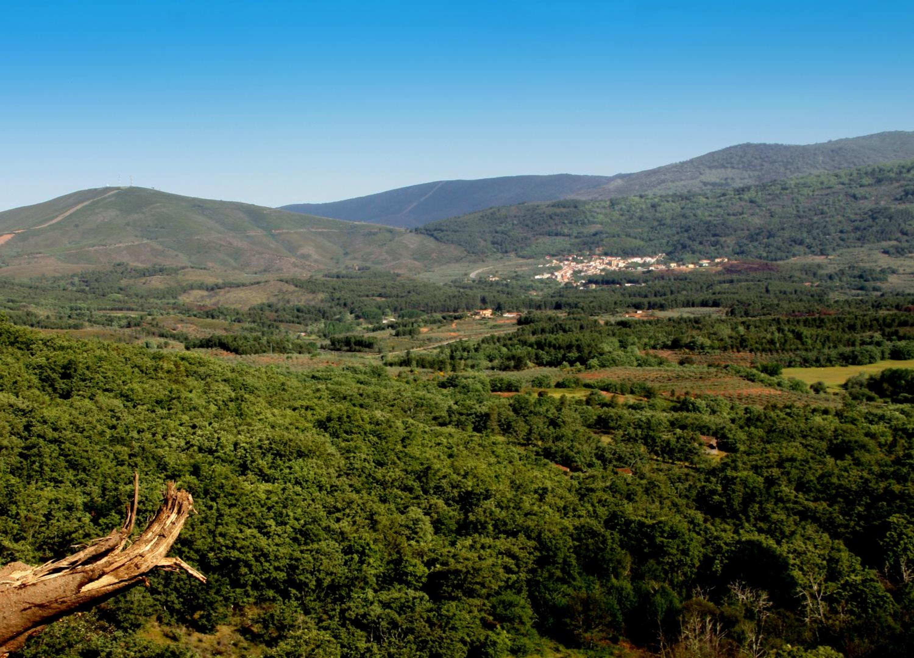 other