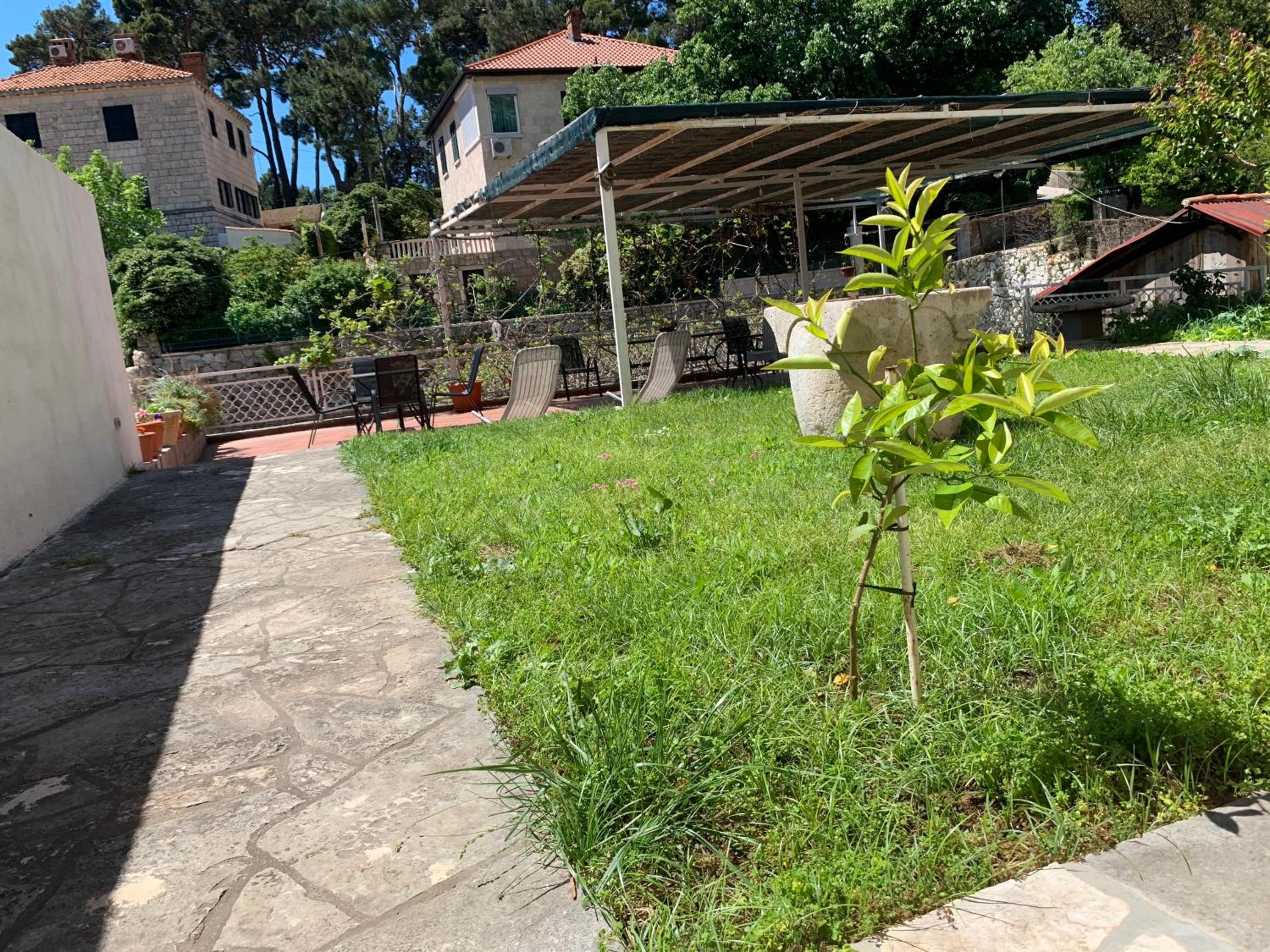 guesthouse Libertas
