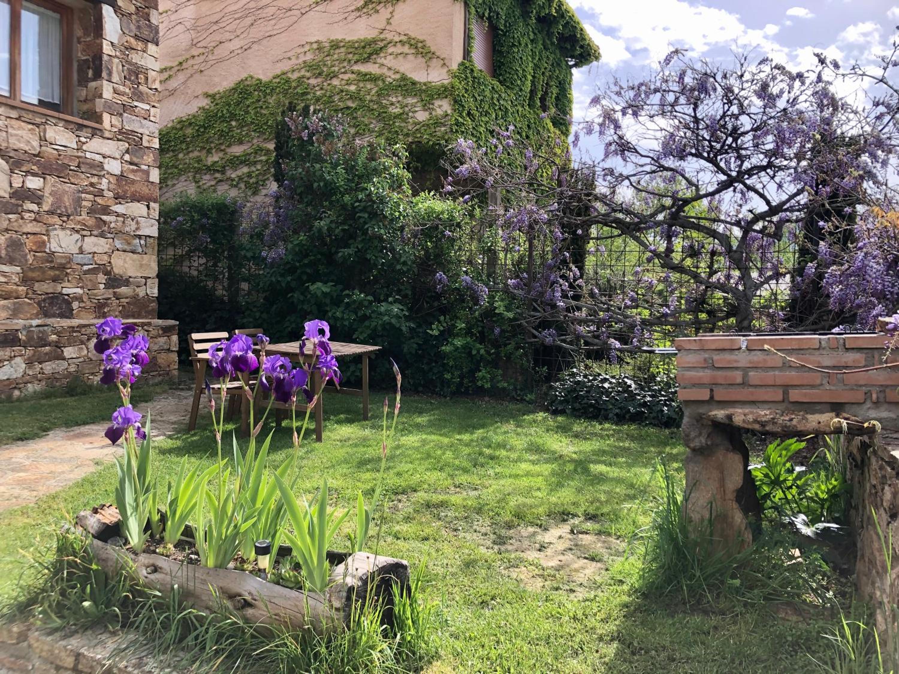 El Hayuco de Montejo