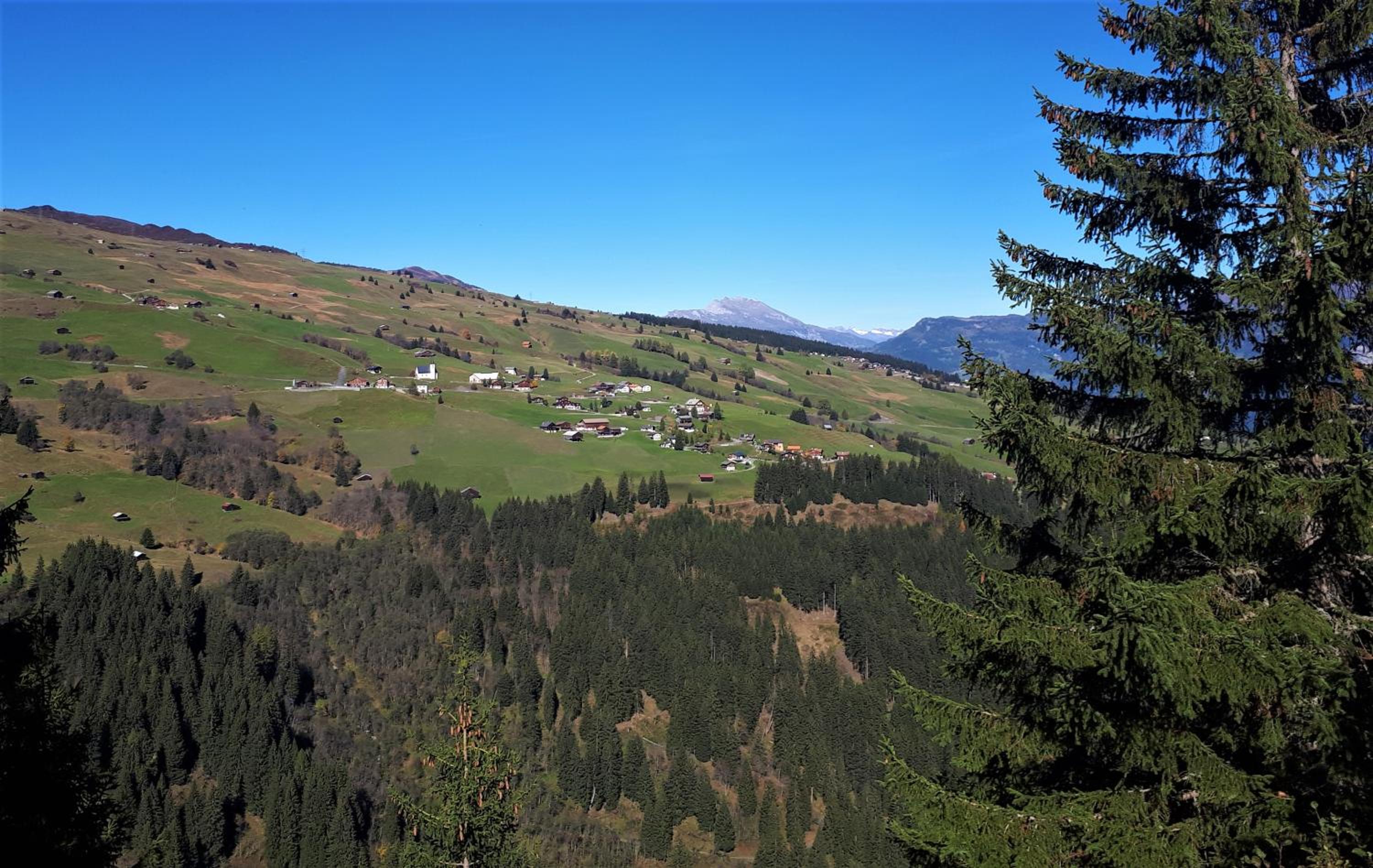 Gasthaus Alpina