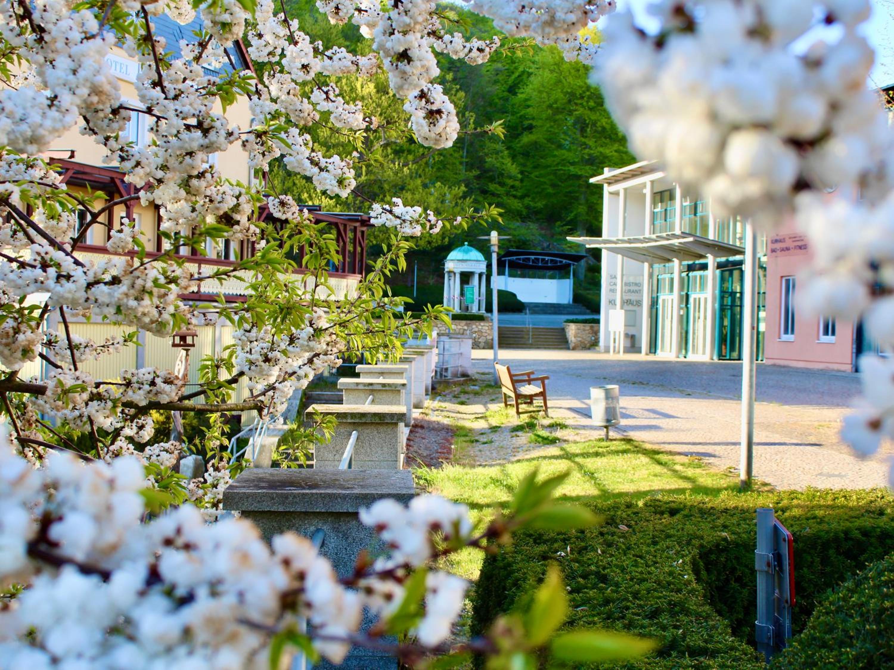 Pension Kurhausblick
