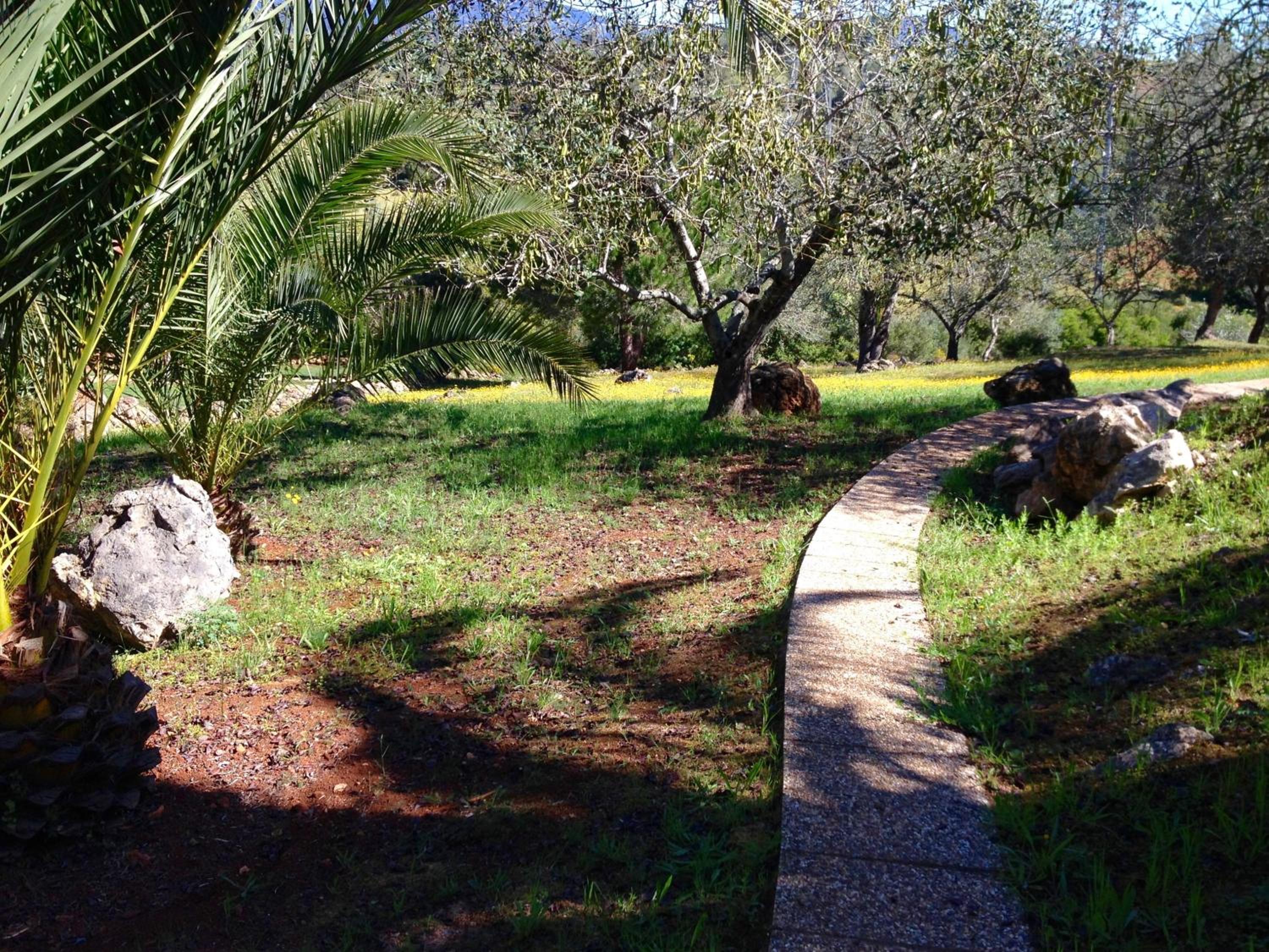 Photo 23