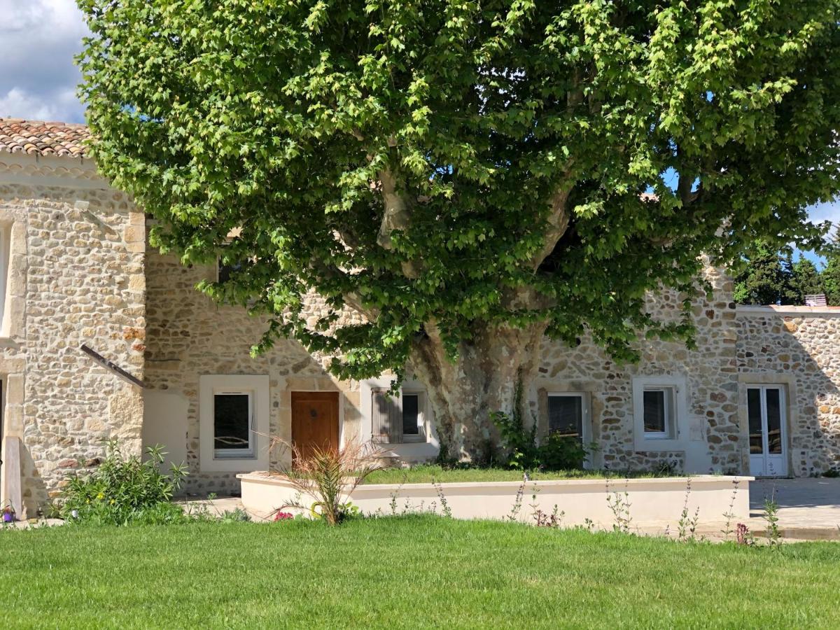 Photo 24