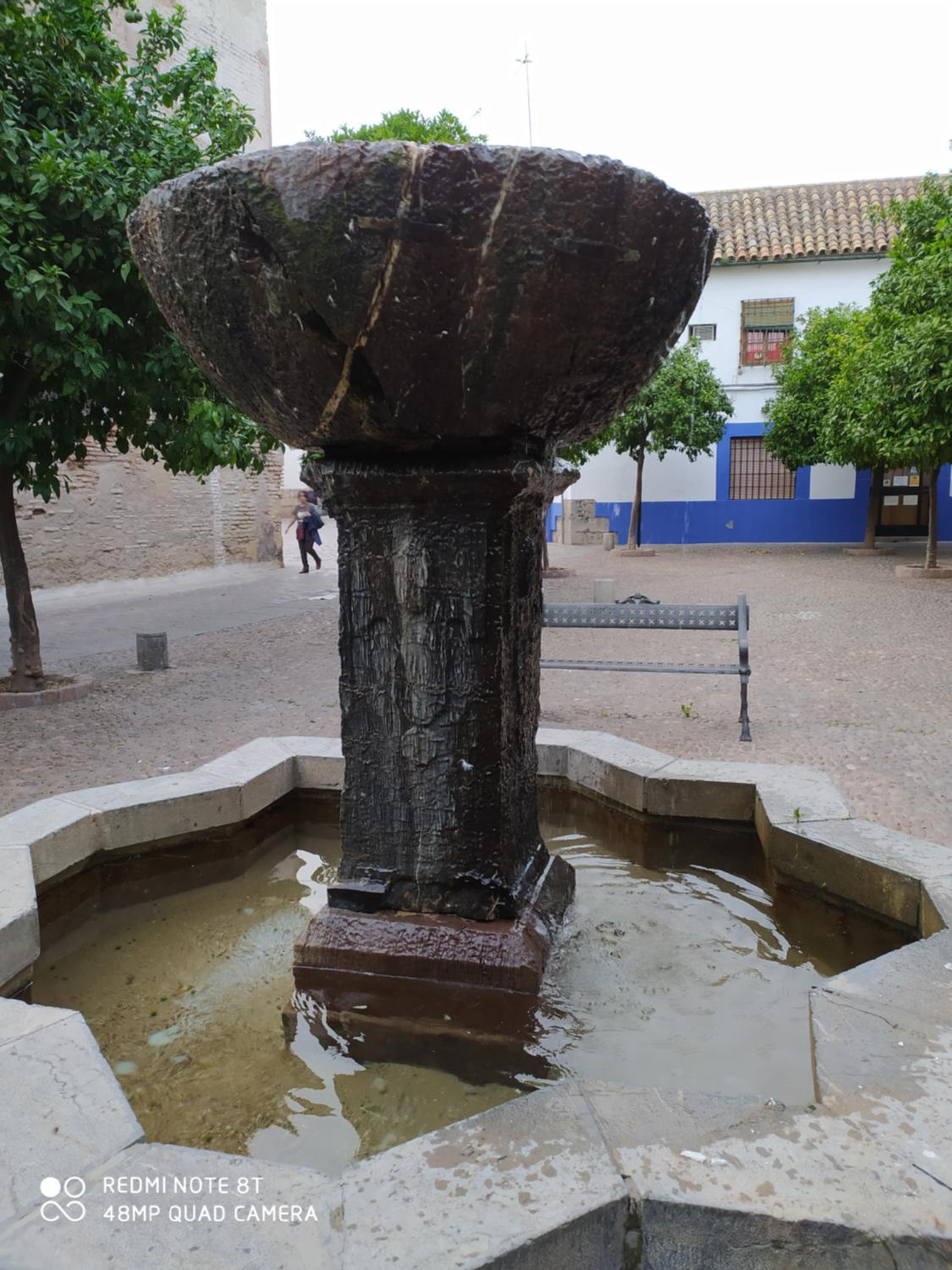 Alojamiento casa típica de Córdoba view 3