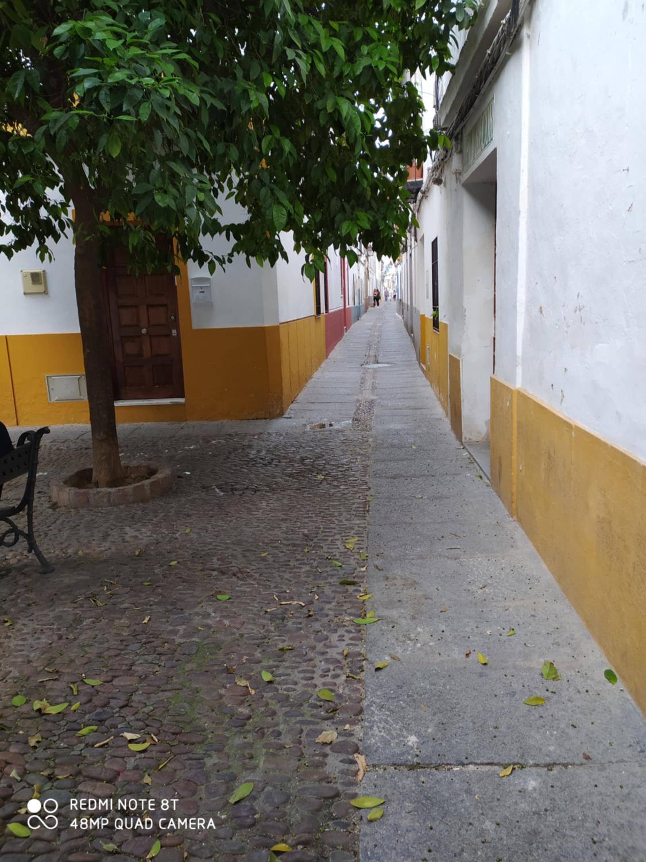 Alojamiento casa típica de Córdoba view 2