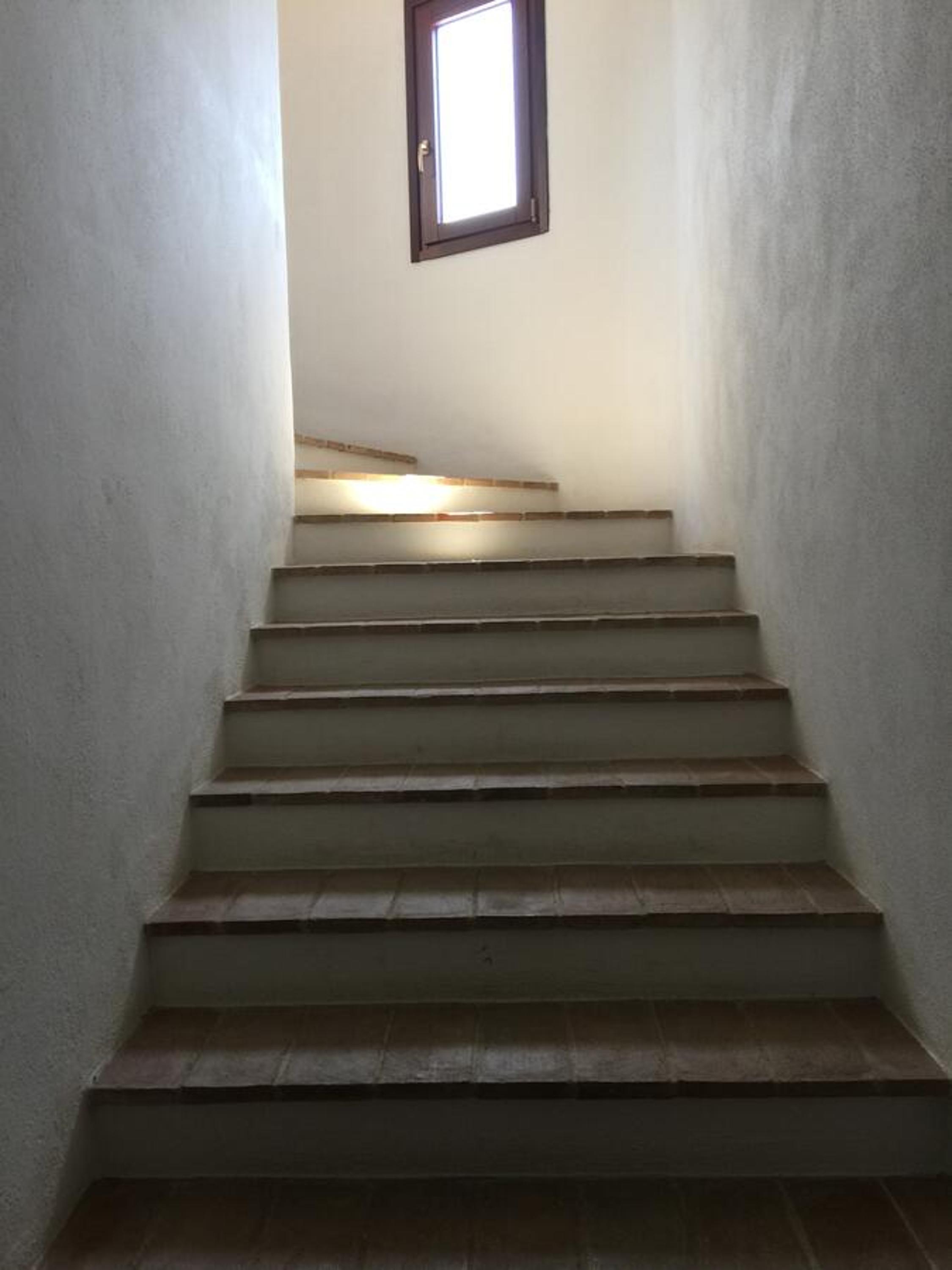 Photo 65