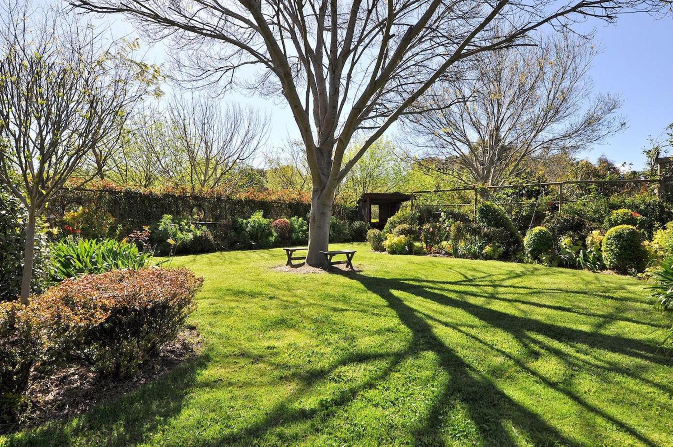 Tree Elle Retreat