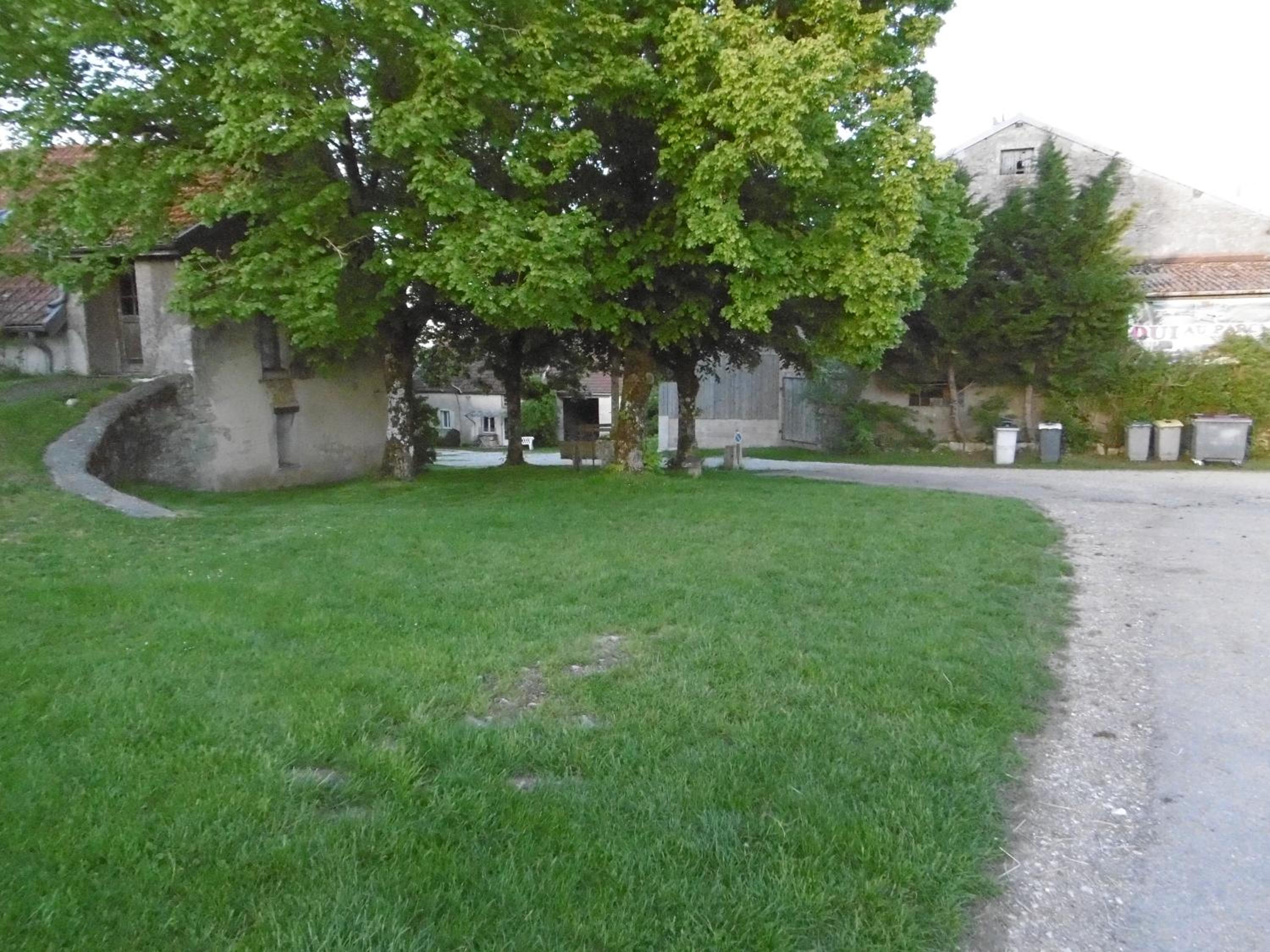 Photo 10