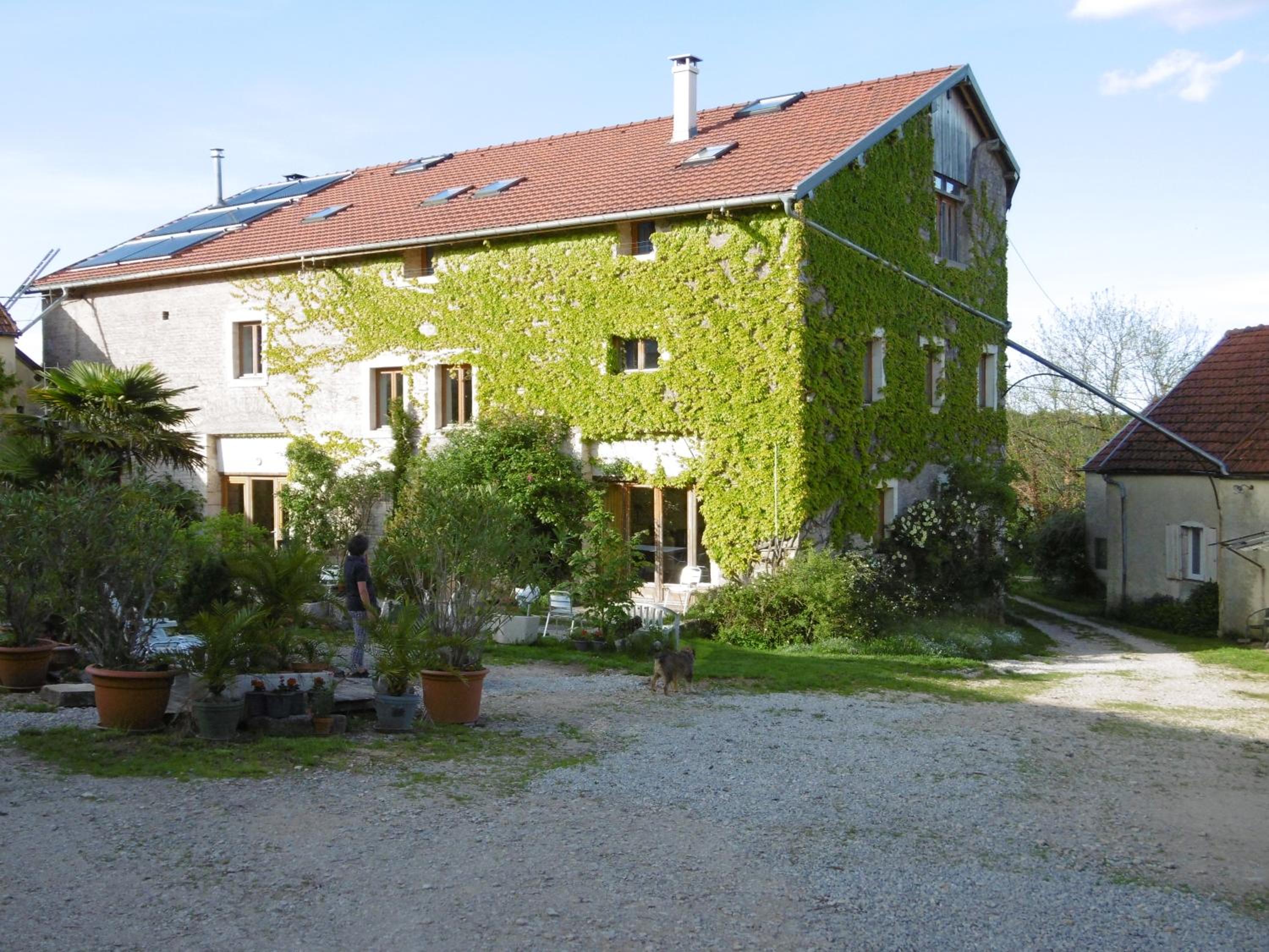 Photo 12