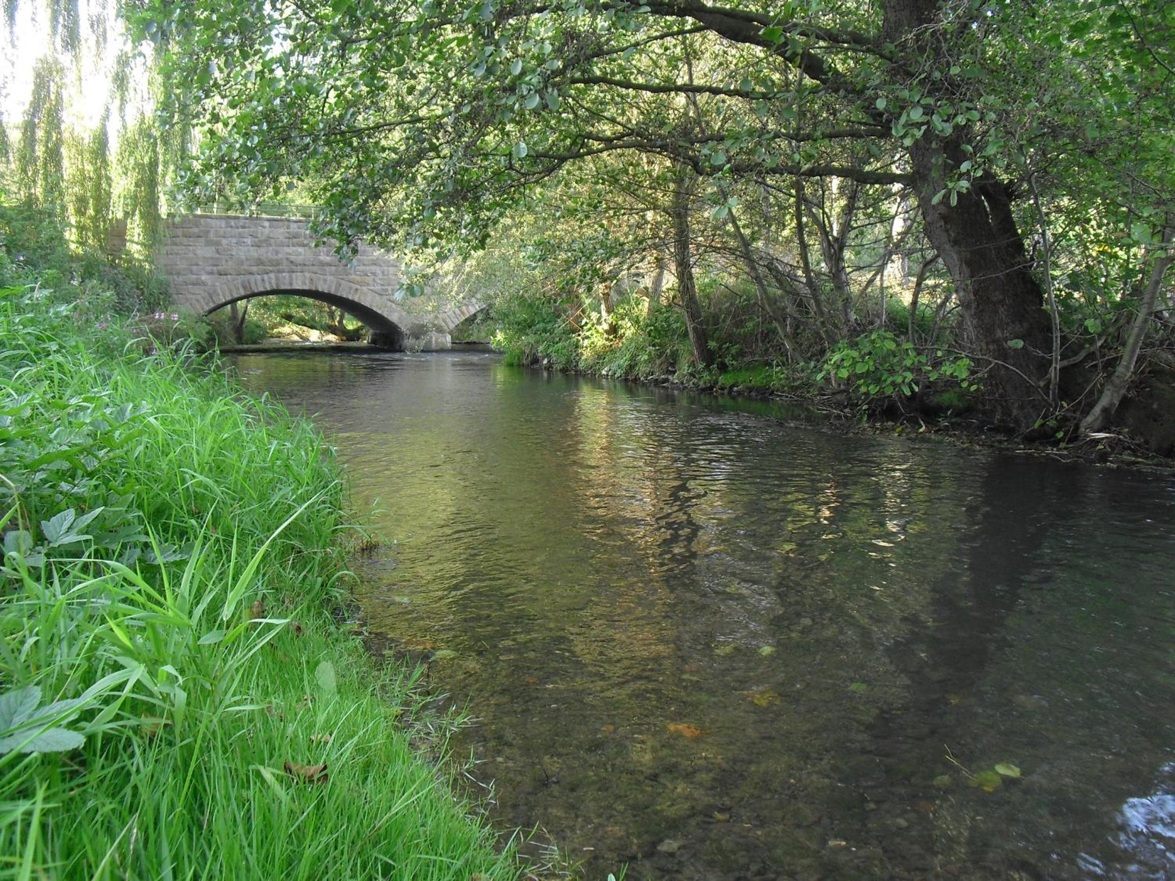Photo 8