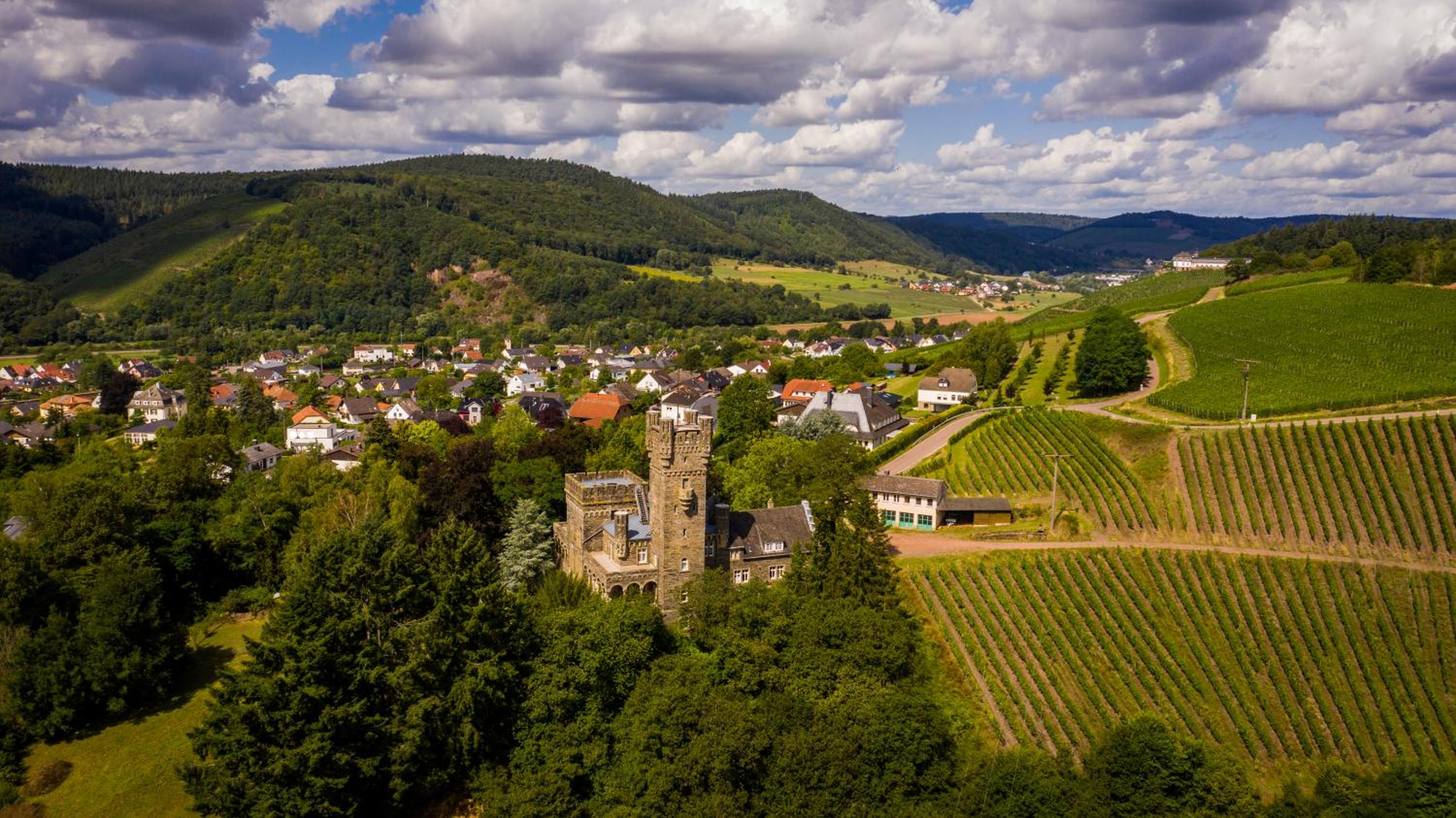 Saar Castle - cozy Mansion near vineyard view 5