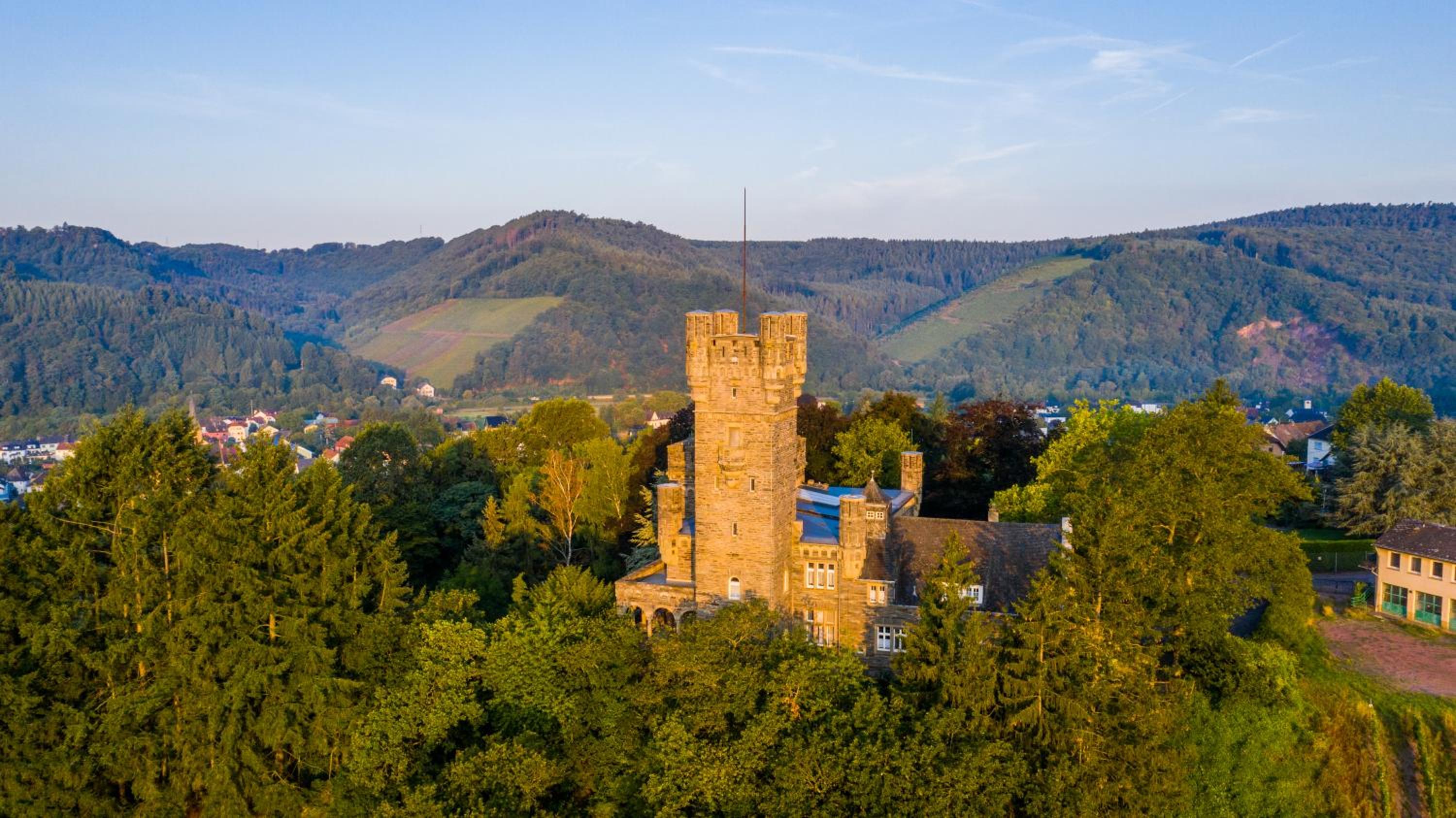Saar Castle - cozy Mansion near vineyard view 2