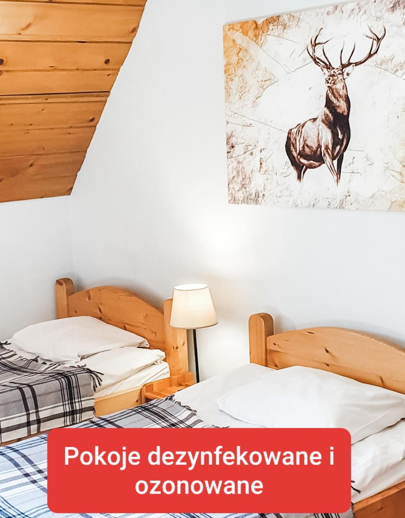 Zakopane Stop