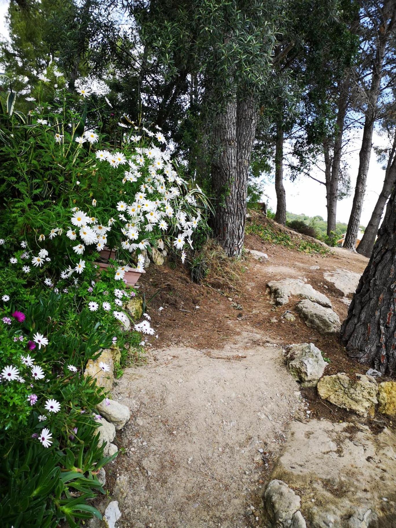 Apartamento entre la playa y la montaña