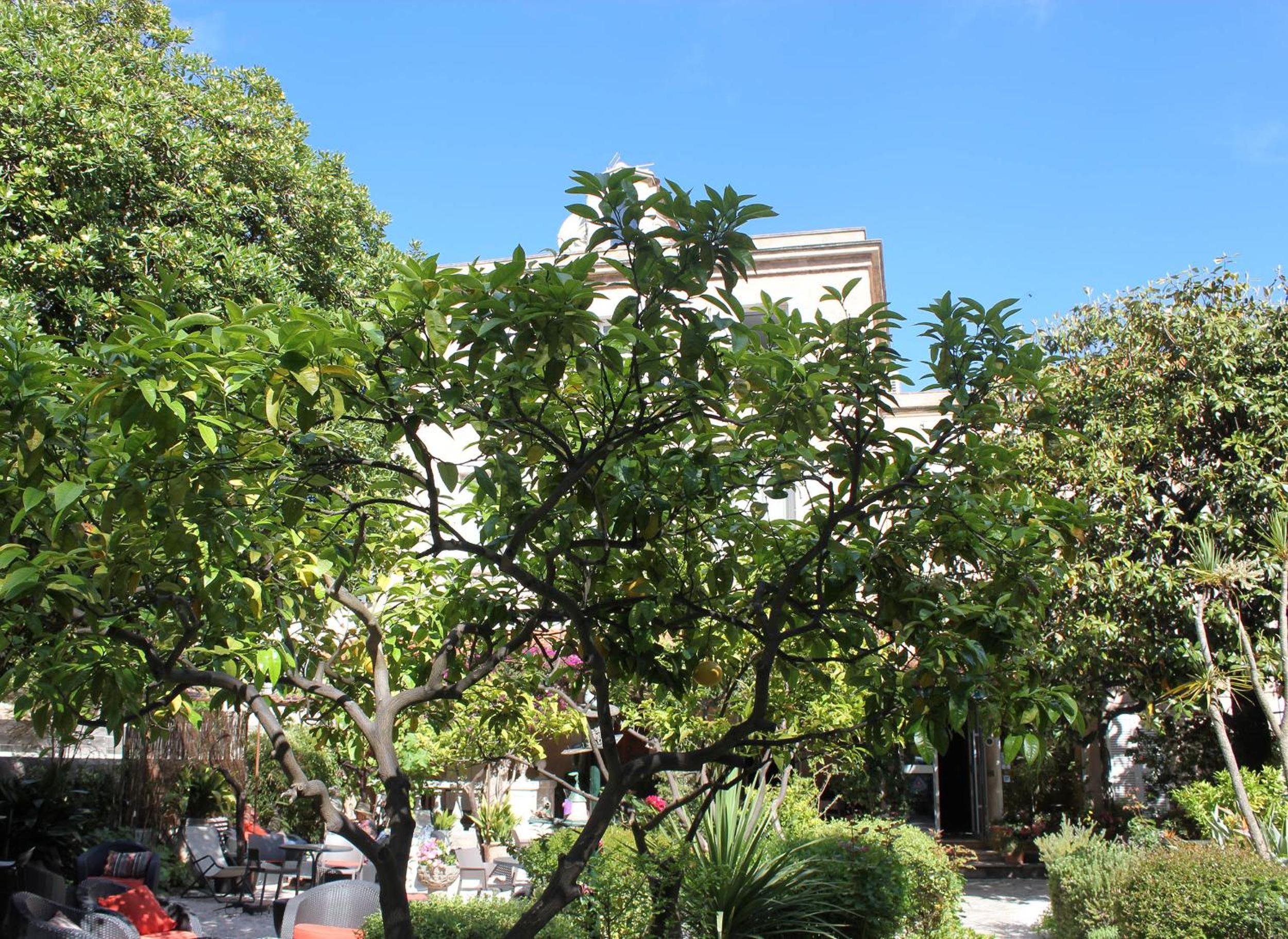 Hôtel Les Palmiers, photo 25