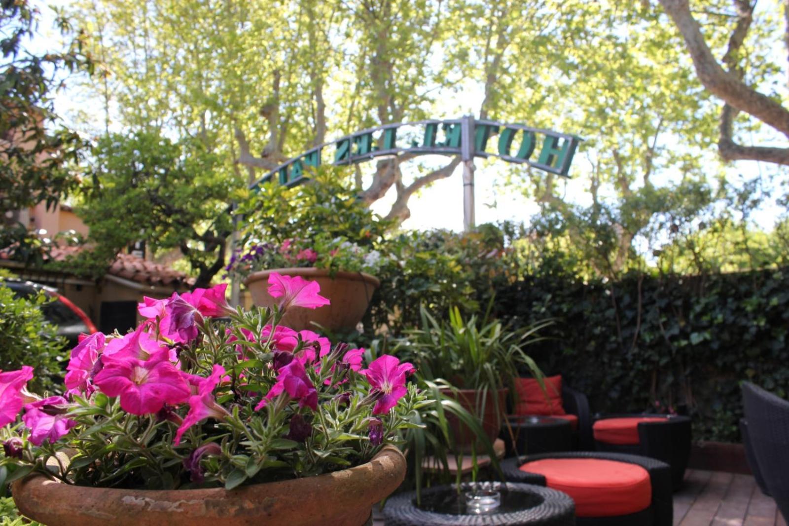 Hôtel Les Palmiers, photo 18