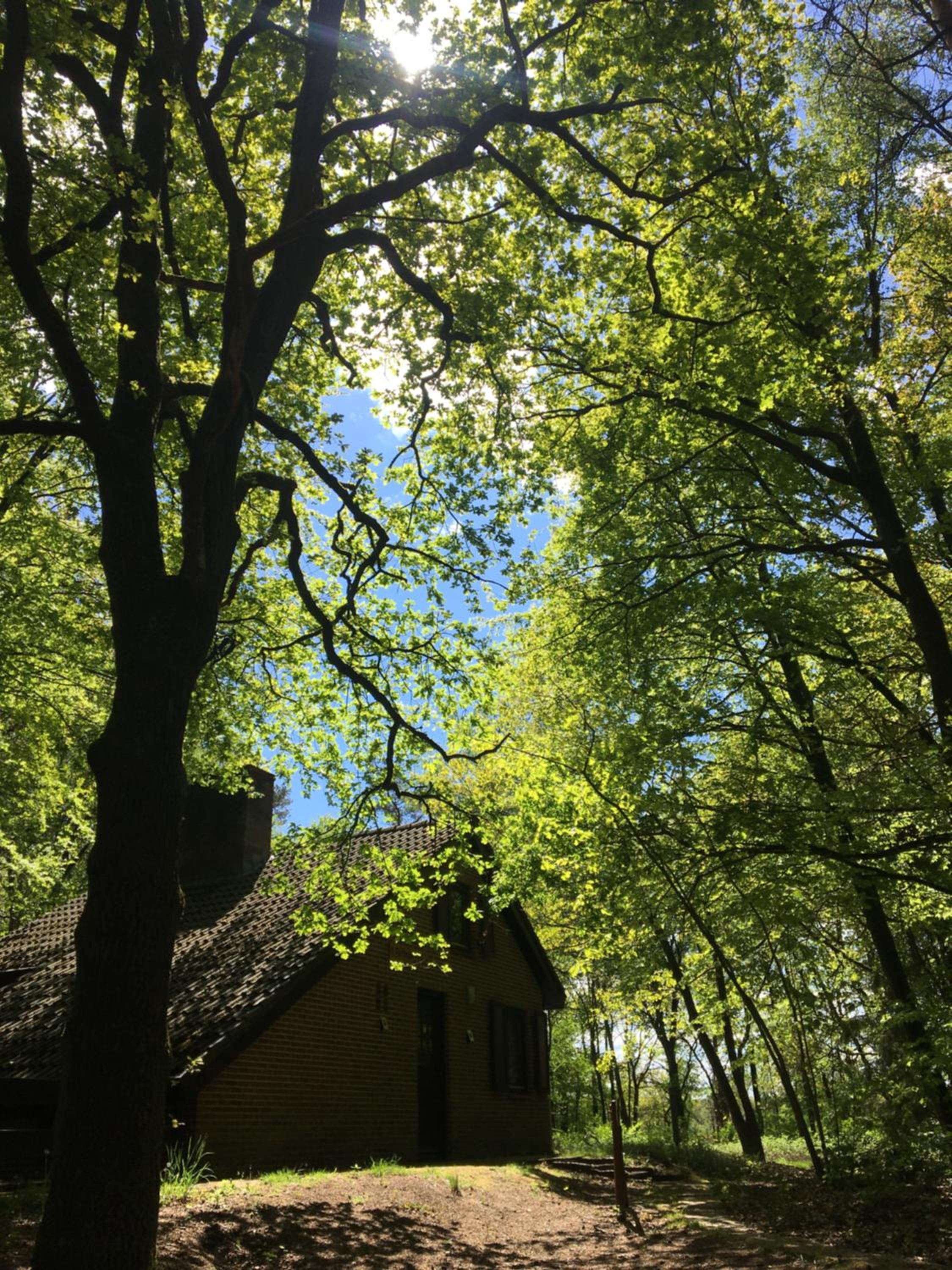 't Aarthuis view 2