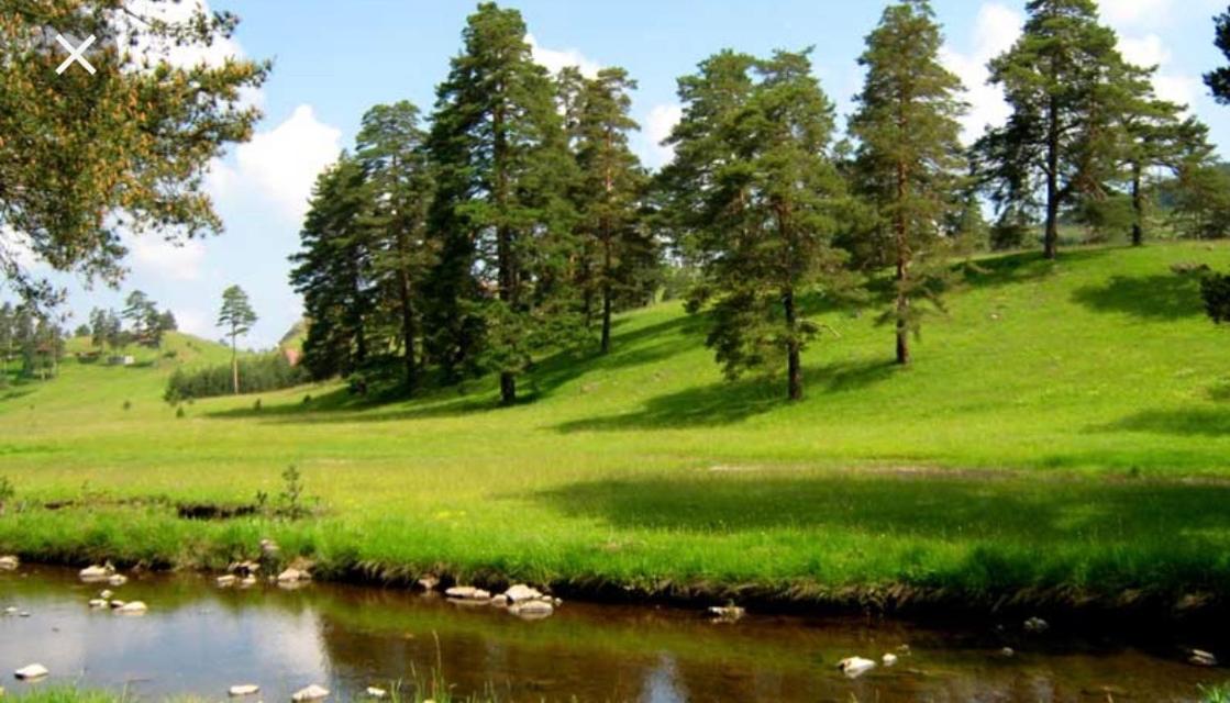 Zlatibor apartman Vladovic