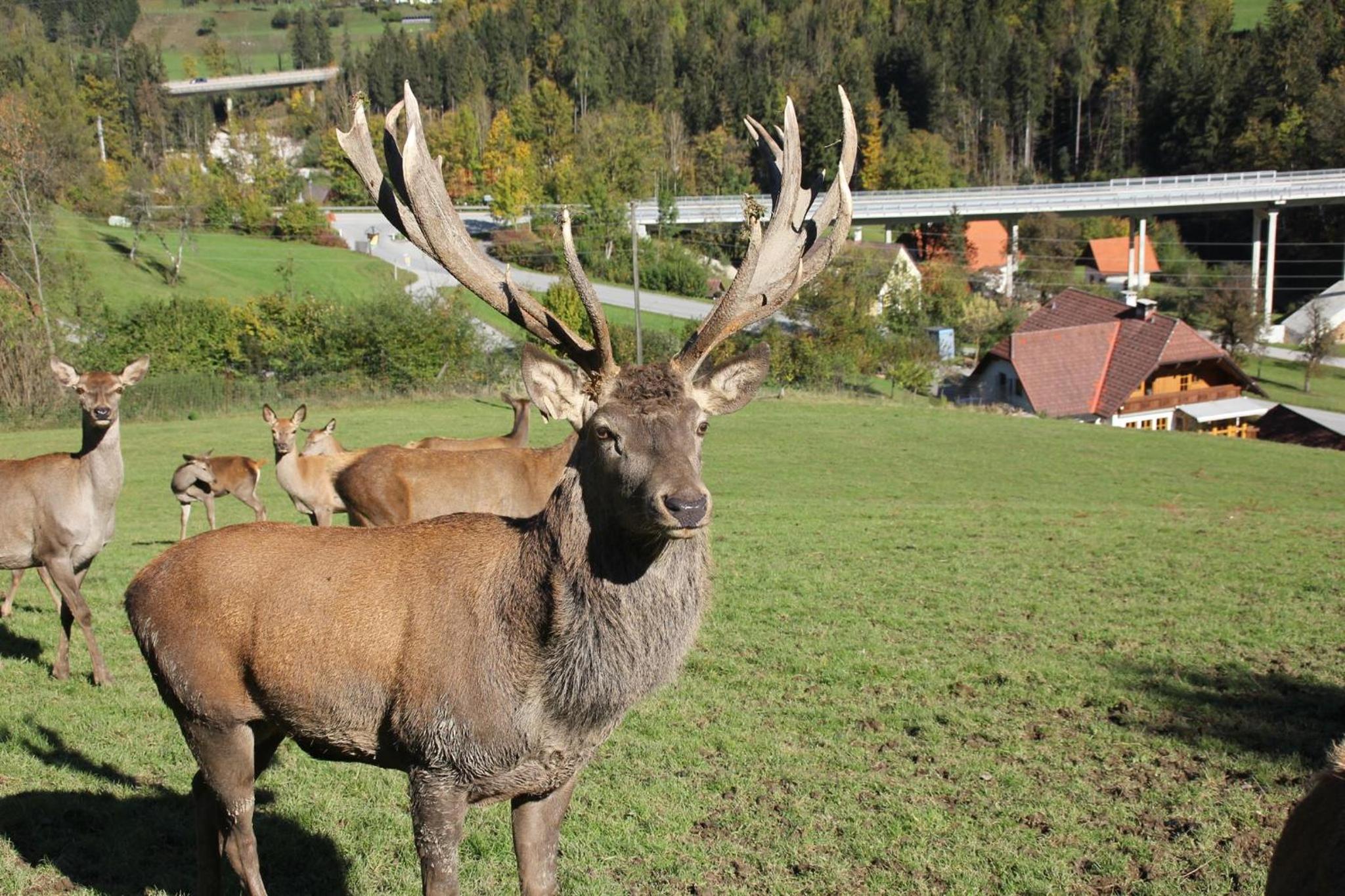 Gästehof Annerl