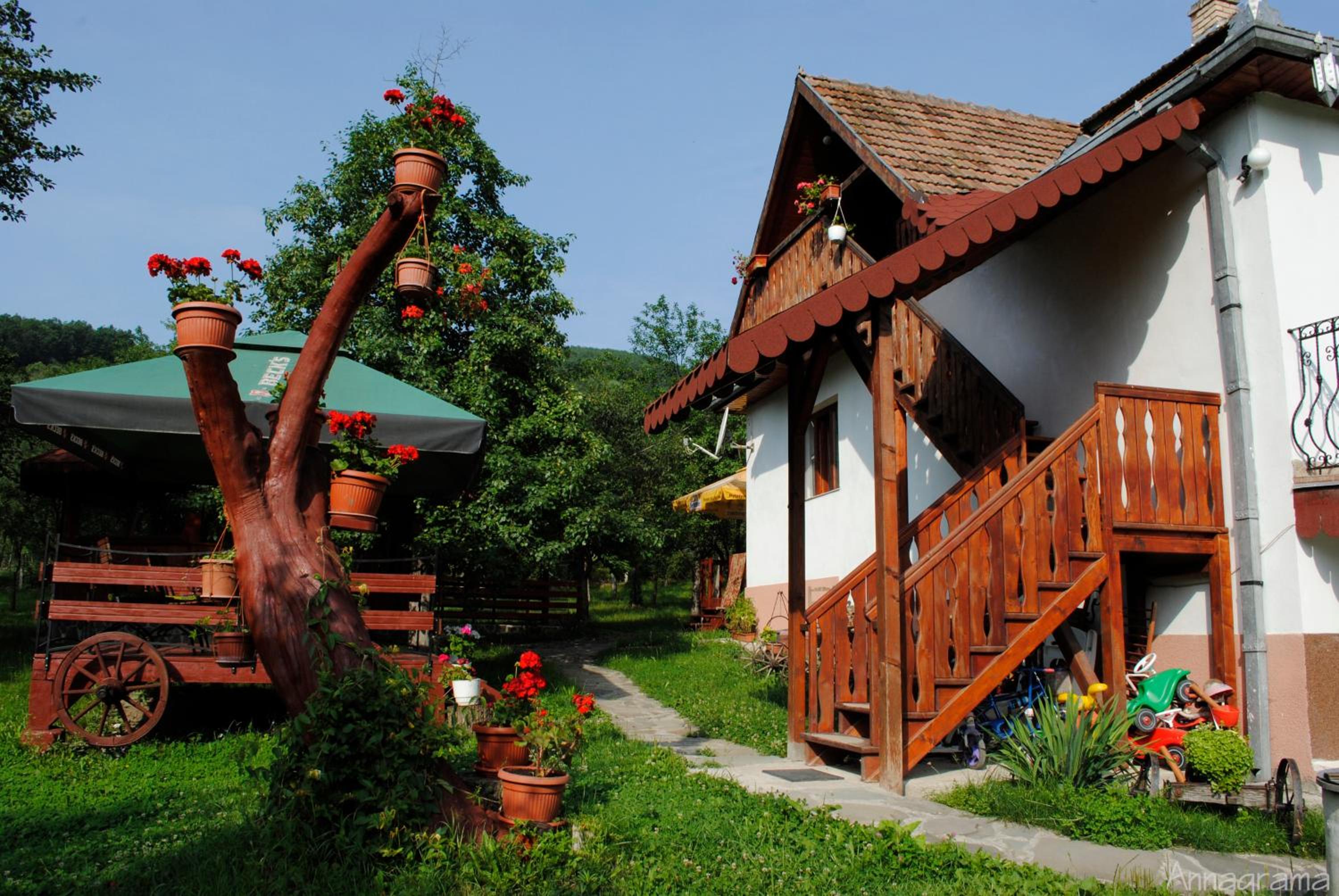 Pensiunea Casa Butnarului view 2