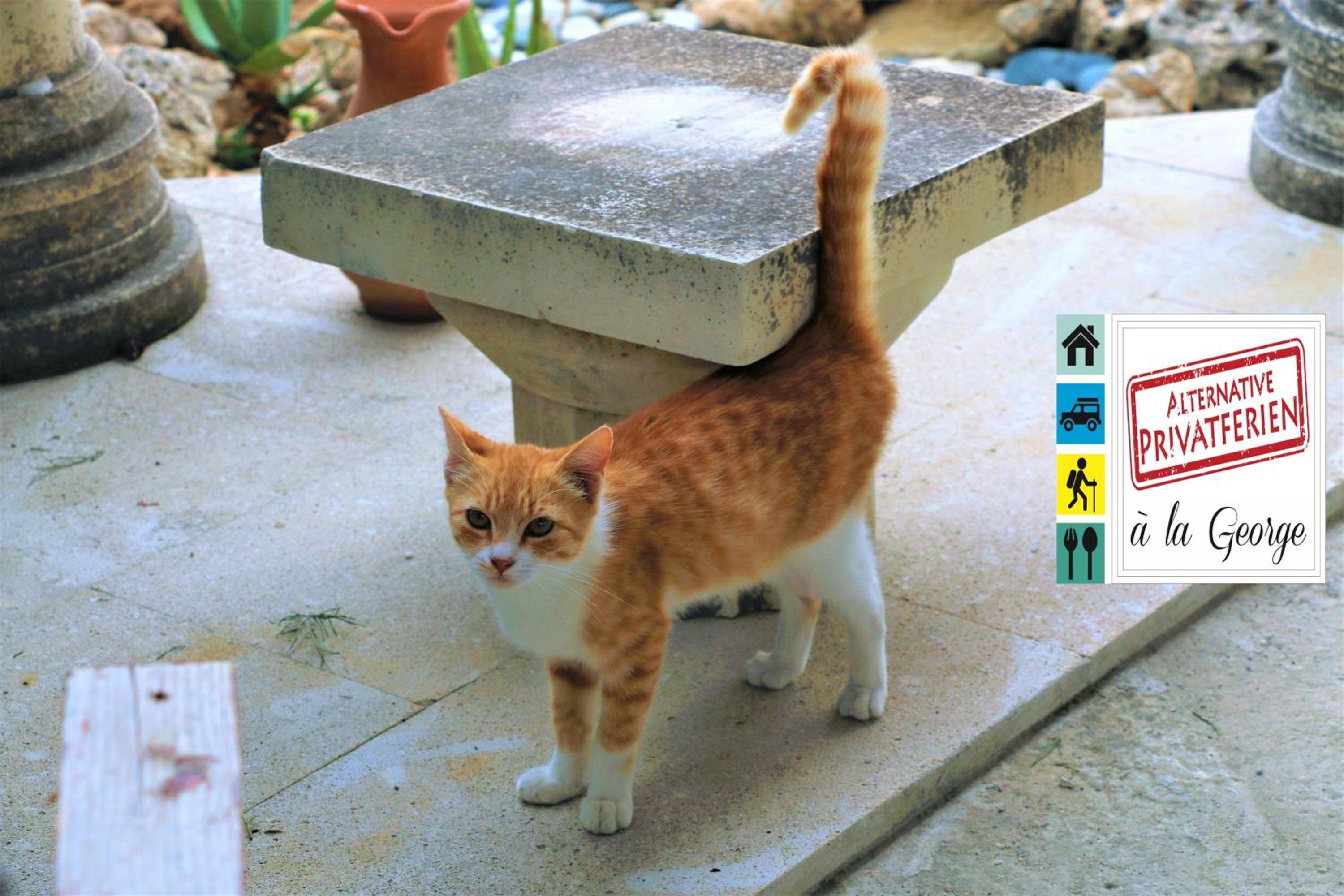 Isminis Petroktisto Holidays Stonehouse