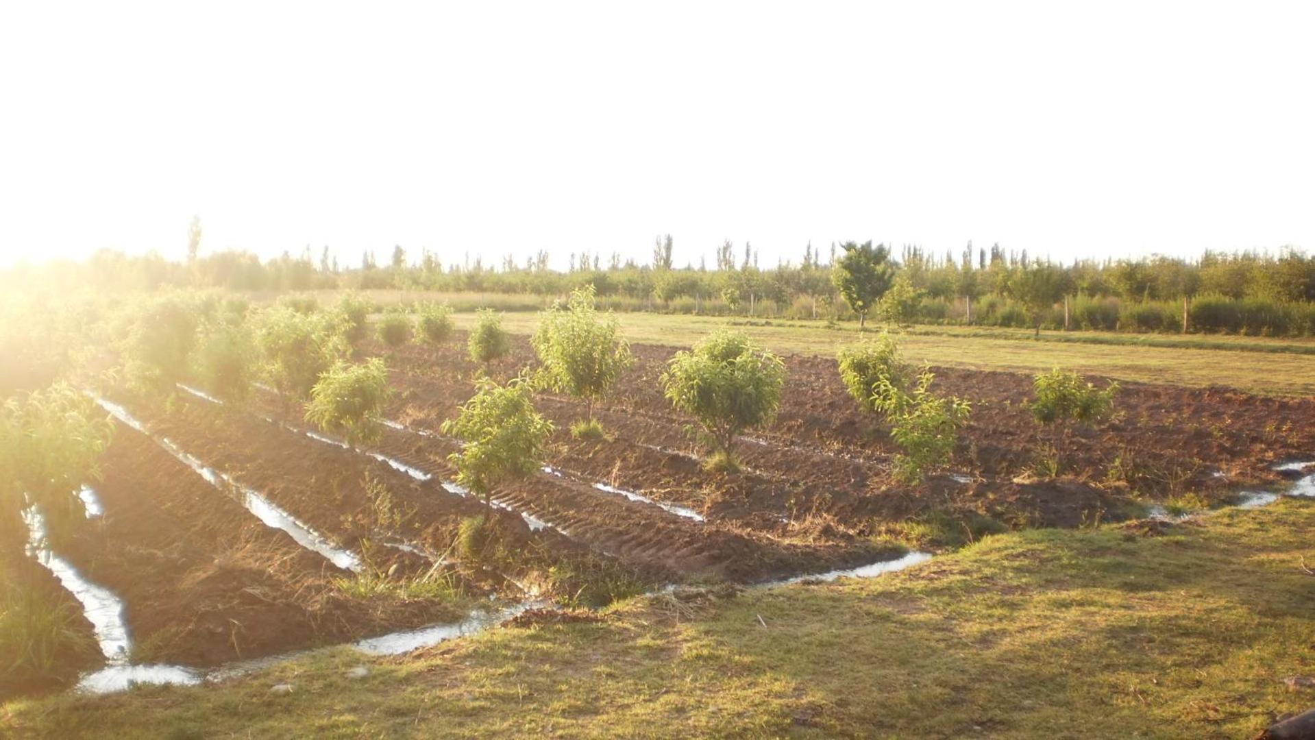 La Martina Casa de Campo
