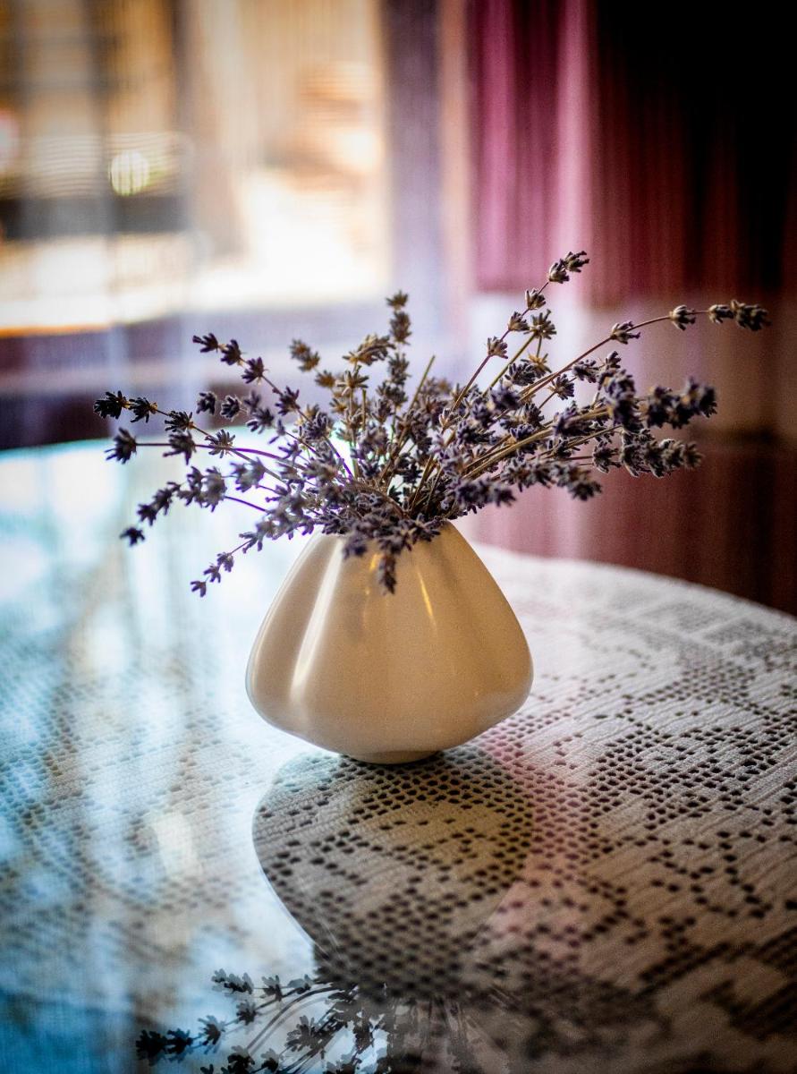 SRDEČNÁ - rodinný penzion a restaurace