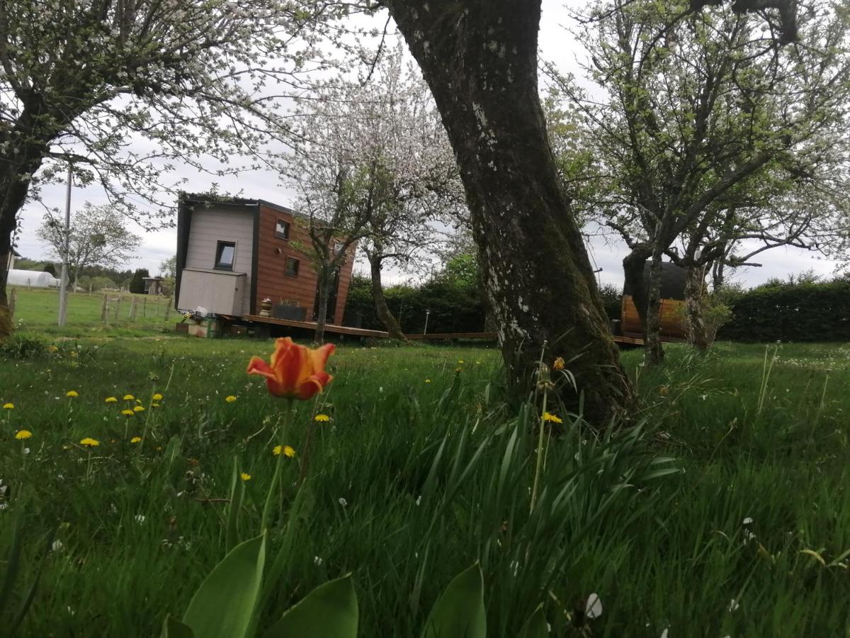 Photo 33
