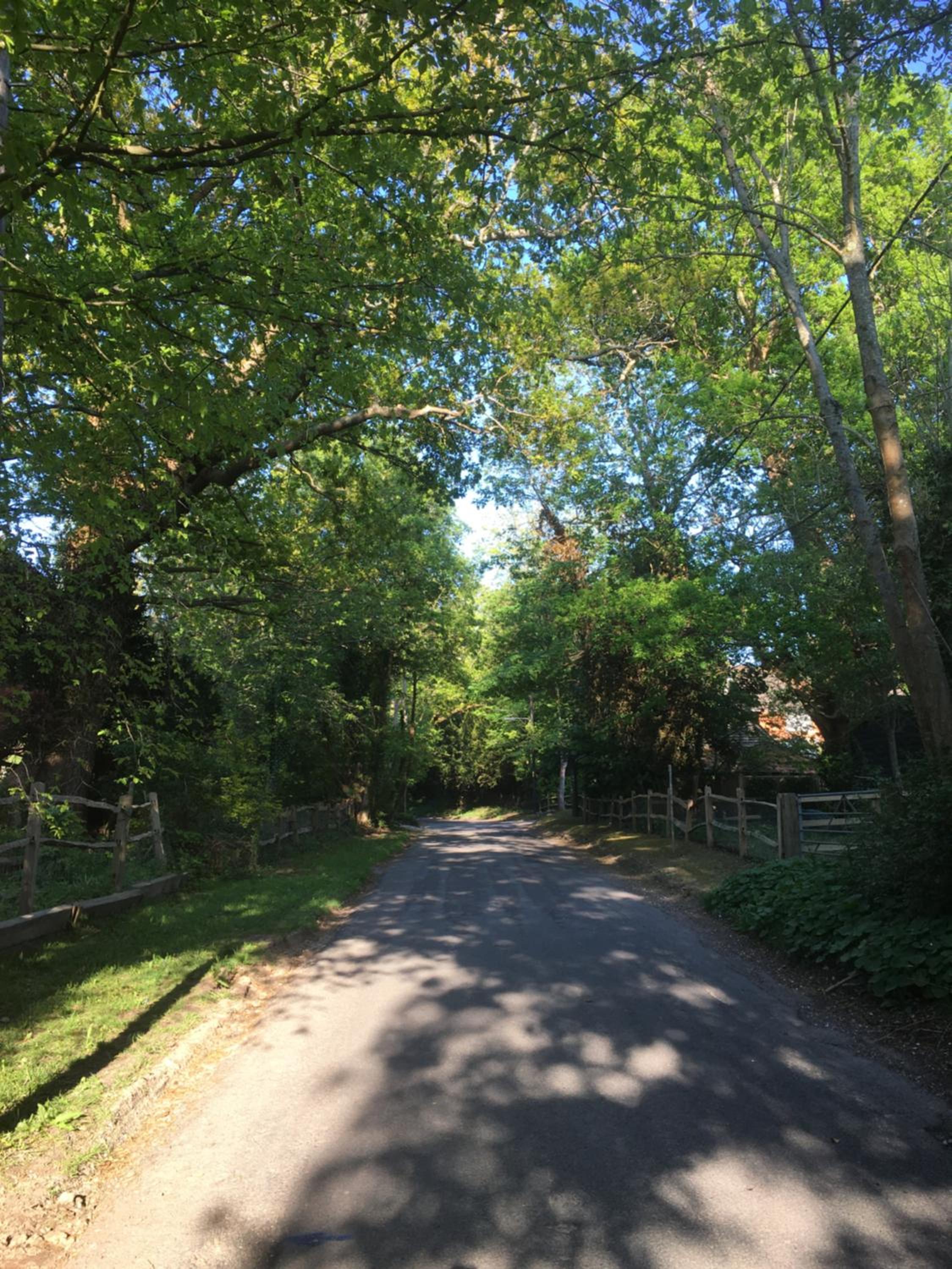 Melbury view 2