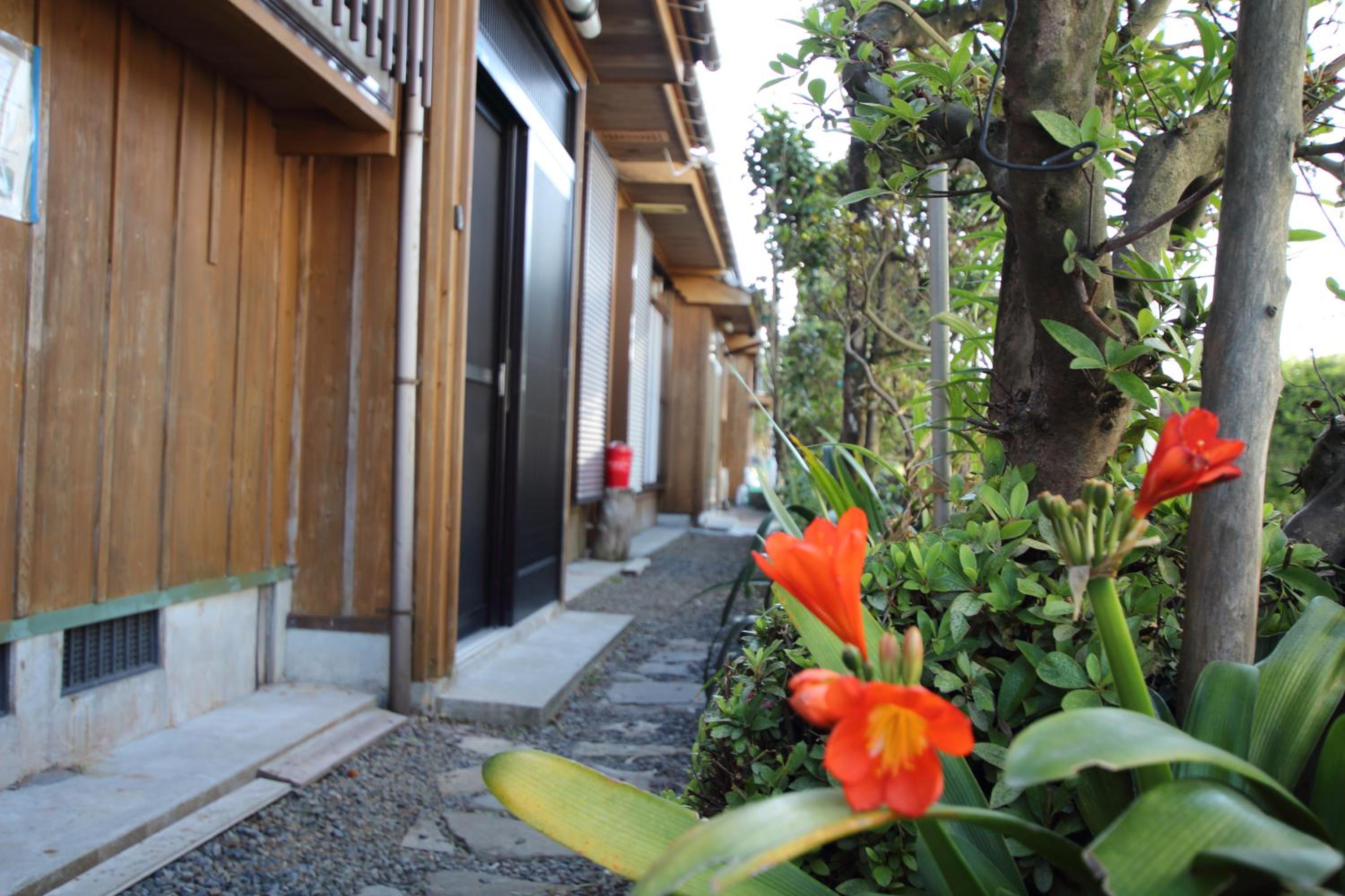 Cottage Yakusugi House