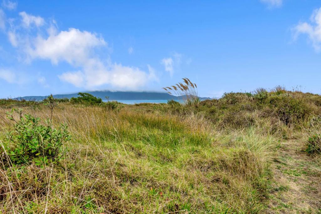 La Casa de la Playa - Waikanae Beach Holiday Home view 5