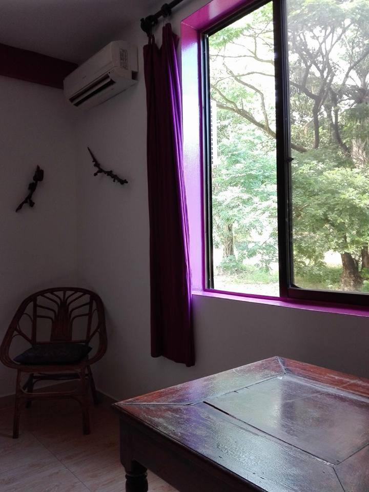 Photo 45