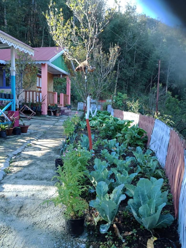 Vamoose Shri Ganesh Homestay view 3