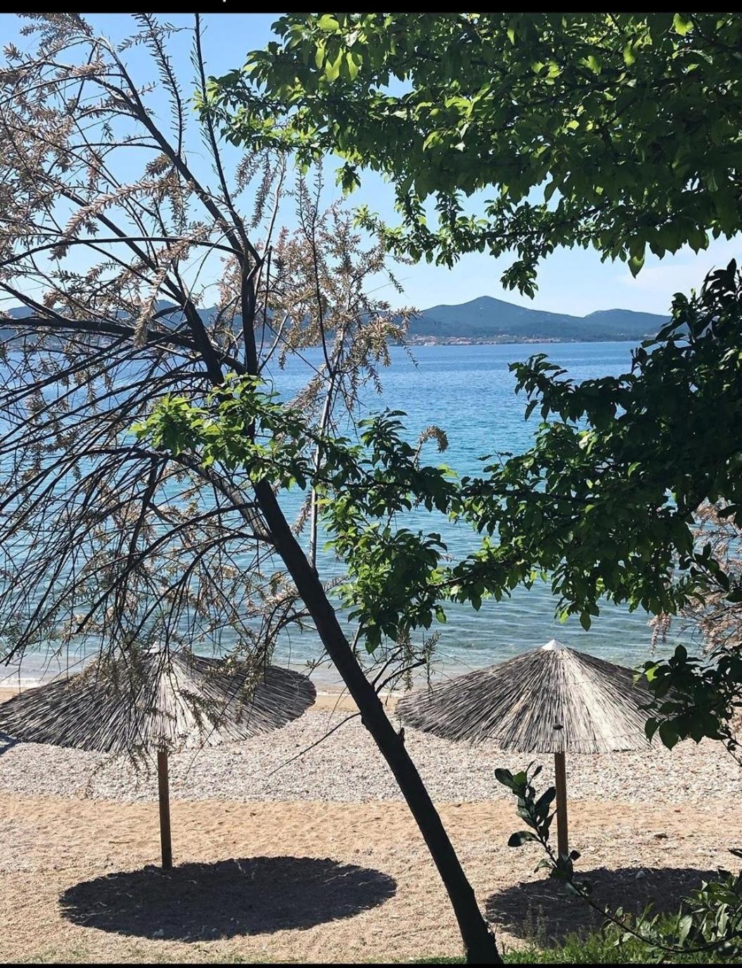 Luxury Majpruz Suites