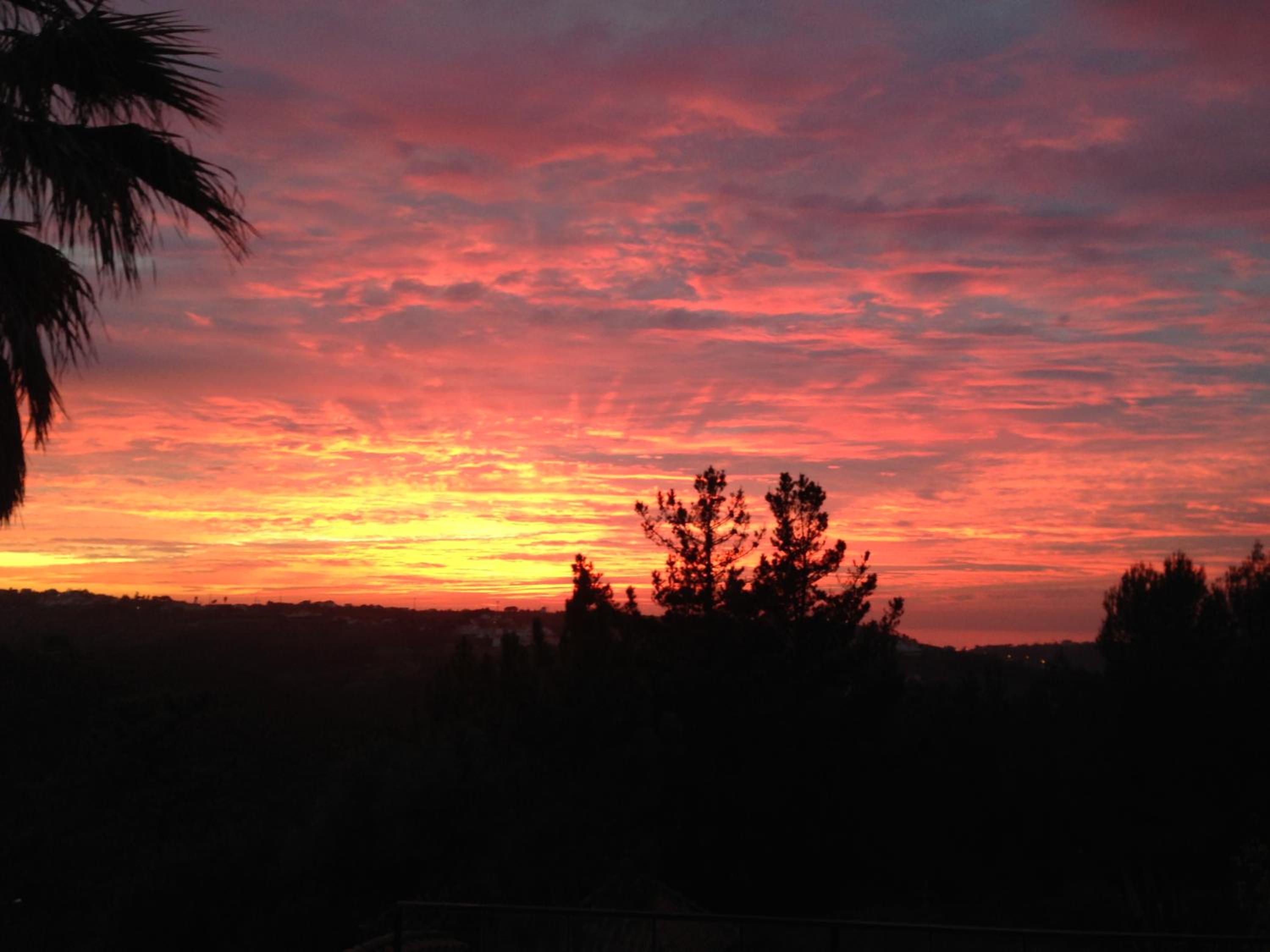 Wavin' Trees Ericeira view 2