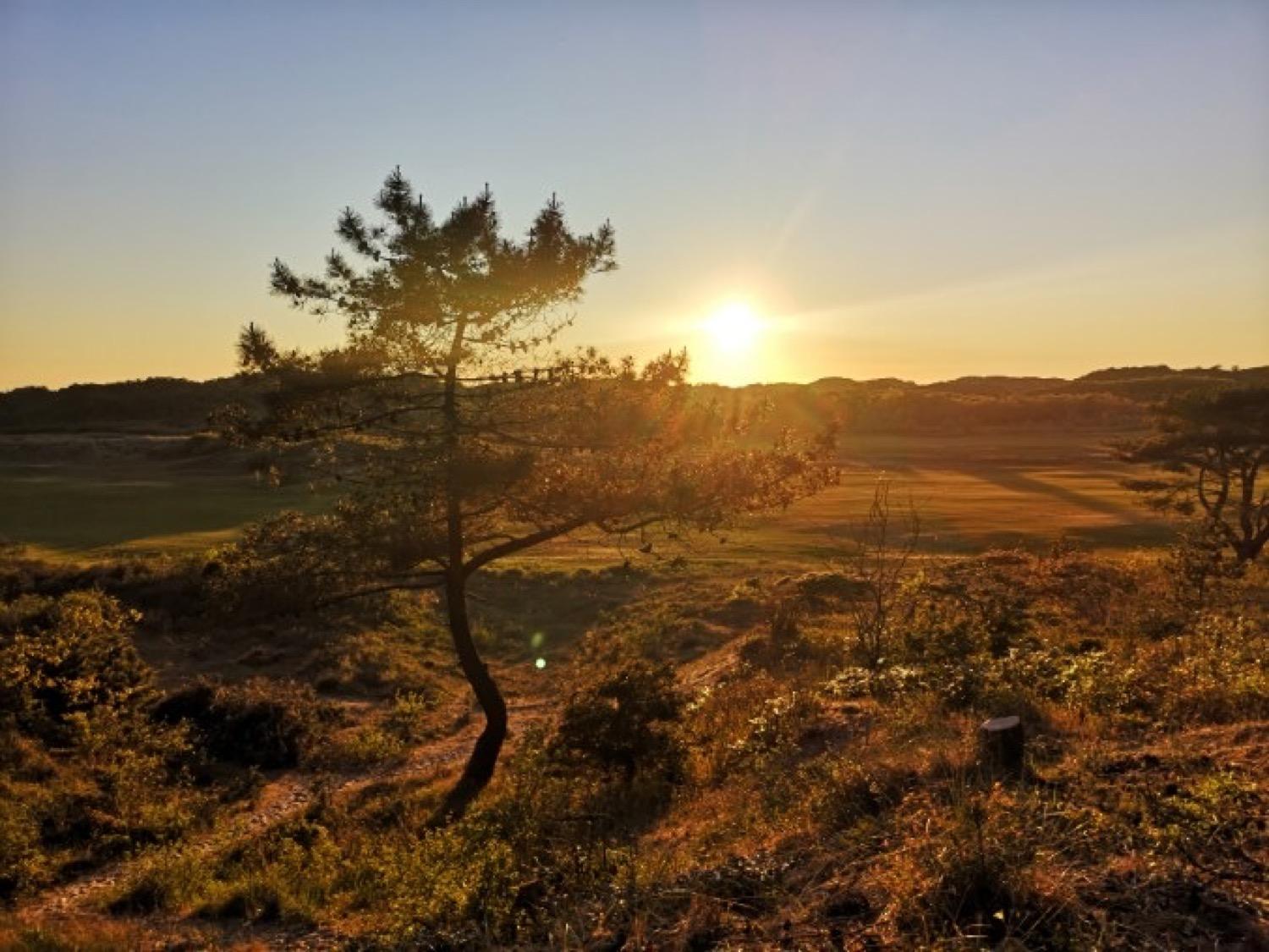 Le Touquet-Paris-Plage Vacations - Le Lodge - Property Image 24