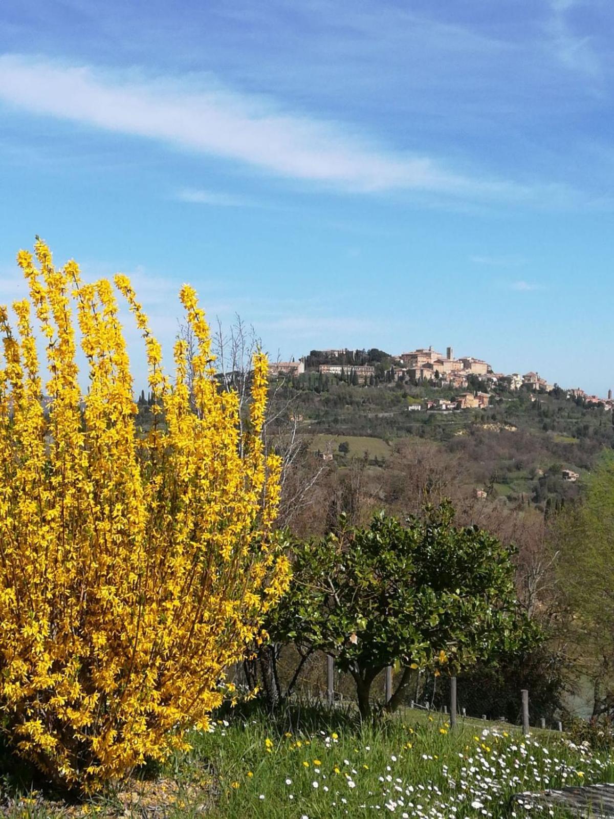 Appartamento Panoramico