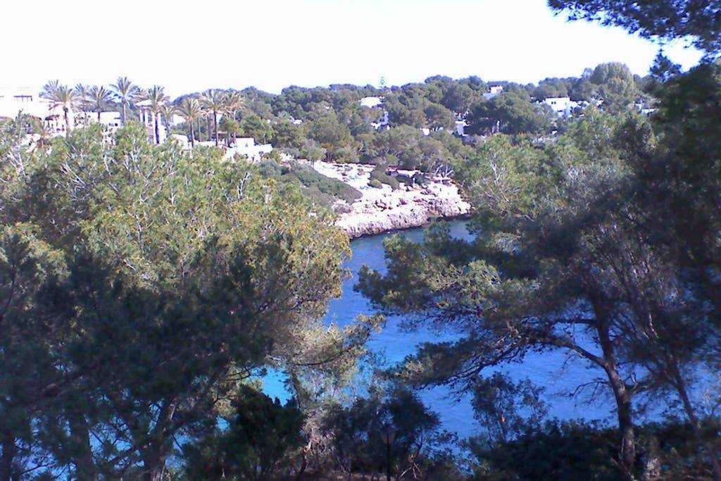 Sea frontline Apartment 'Charo' Pool and Wifi view 3