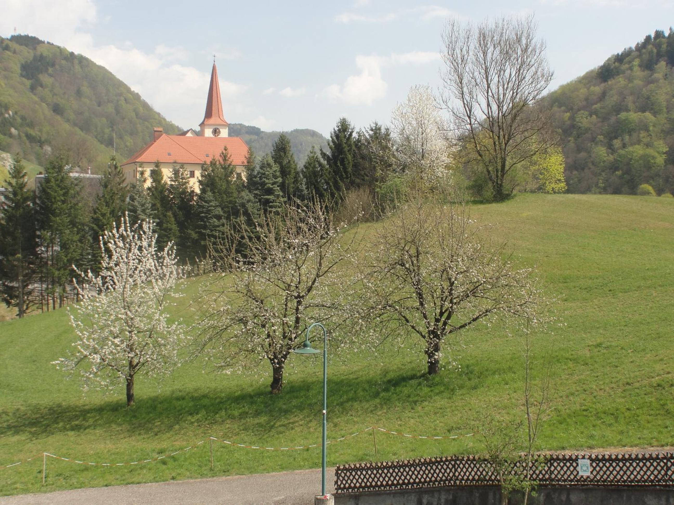 Photo 48