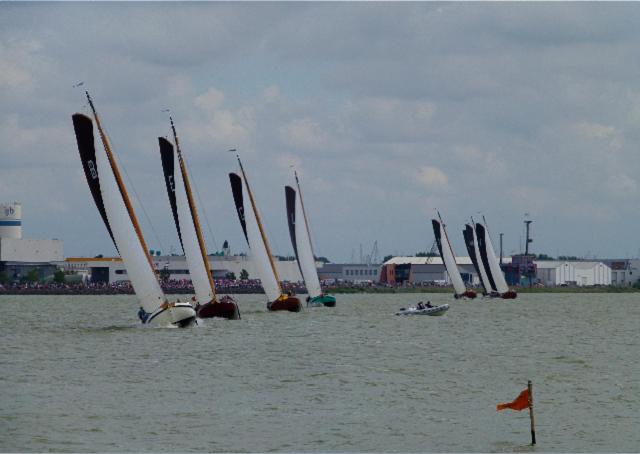 De Patrijs view 2