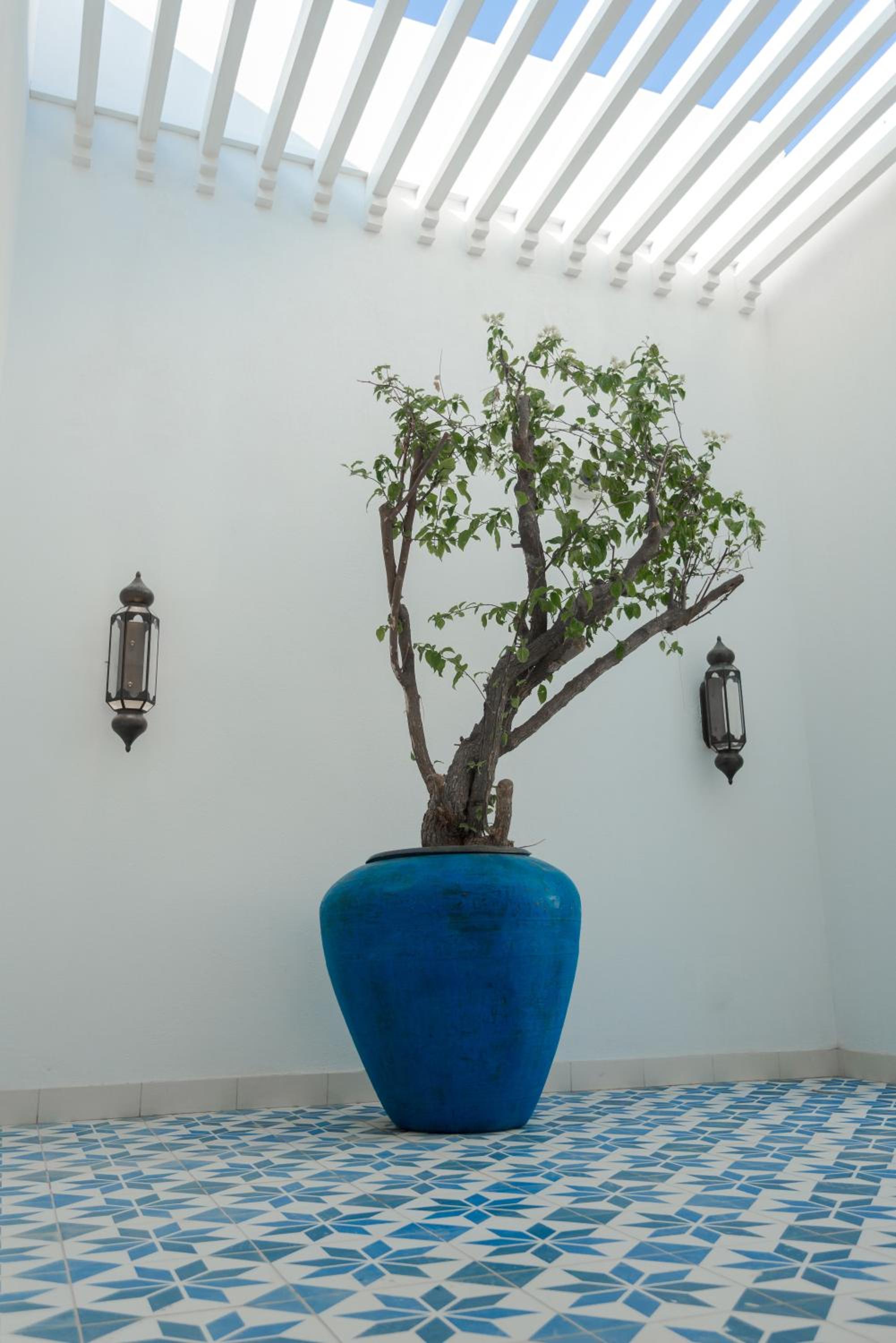 Cloud 7 Residence Ayla Aqaba, photo 42