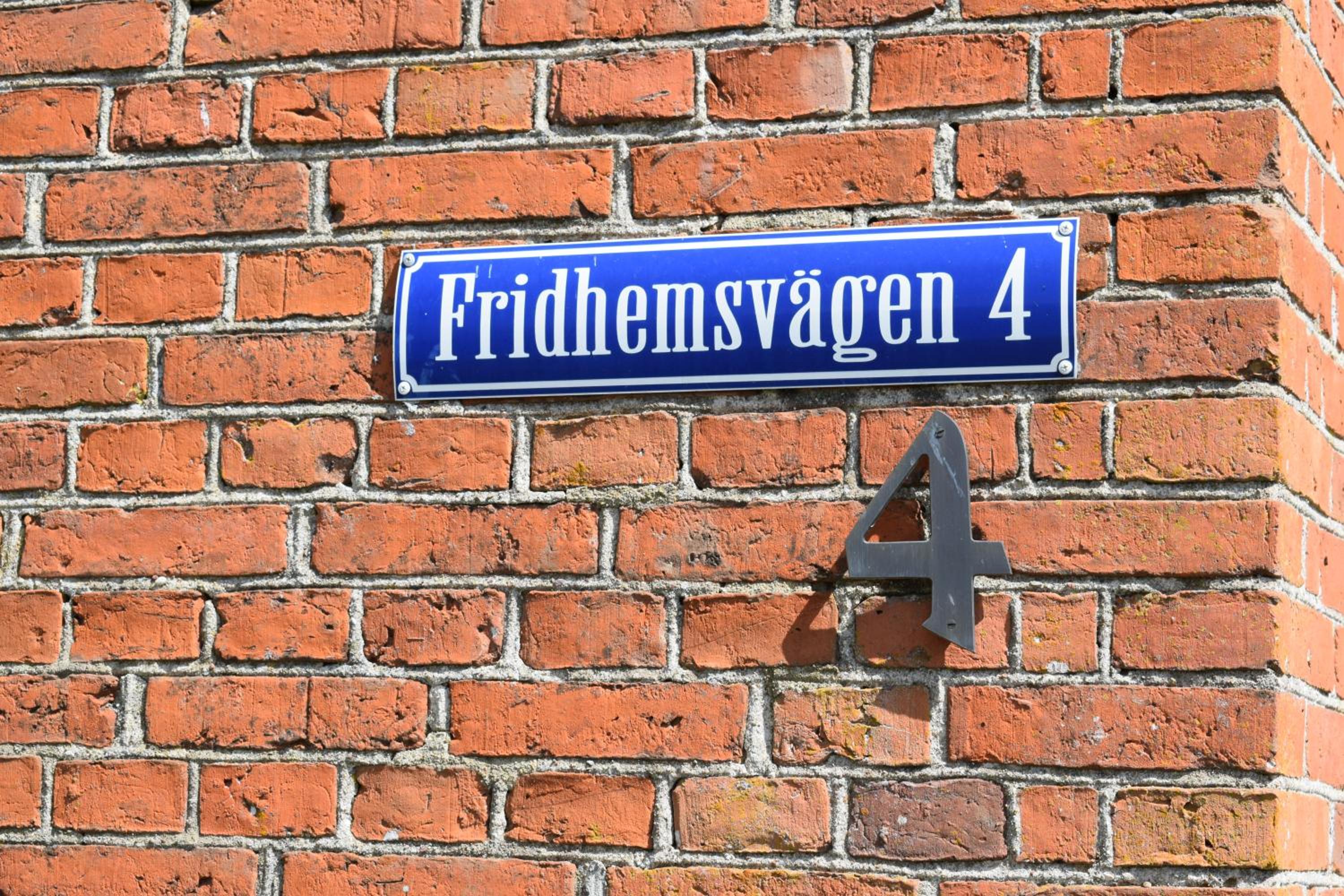 Photo 11