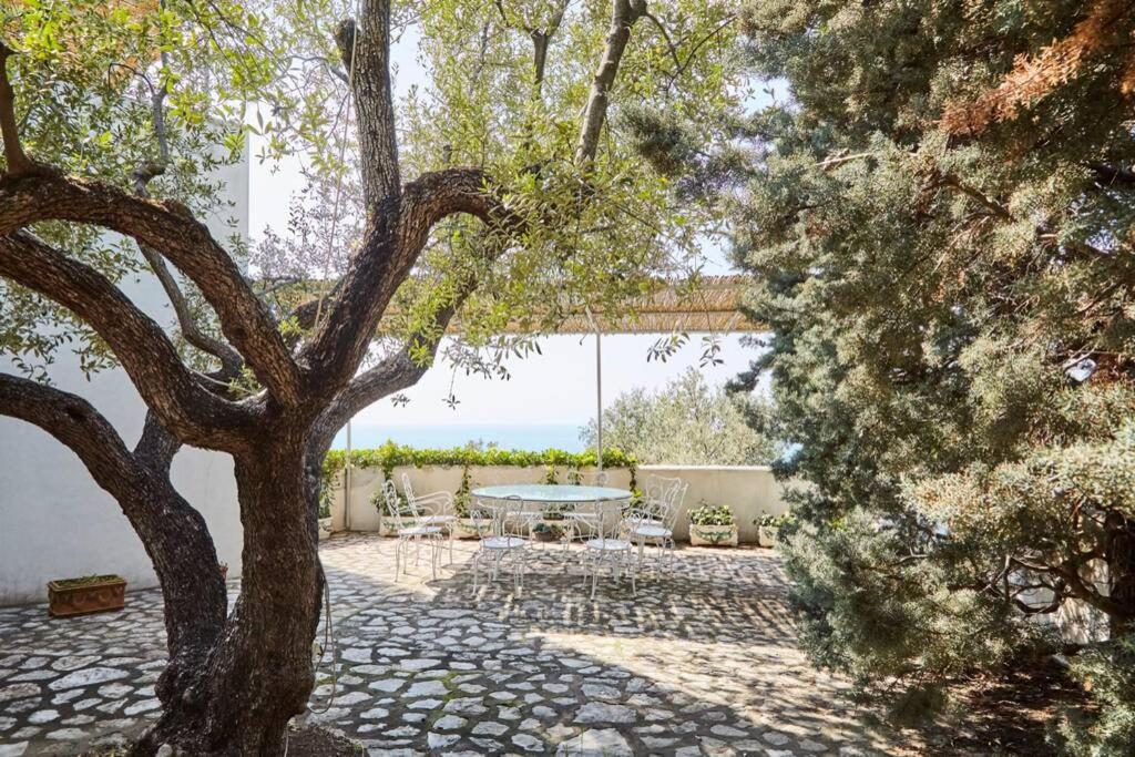 Villa Anthony piscina privata photo 4