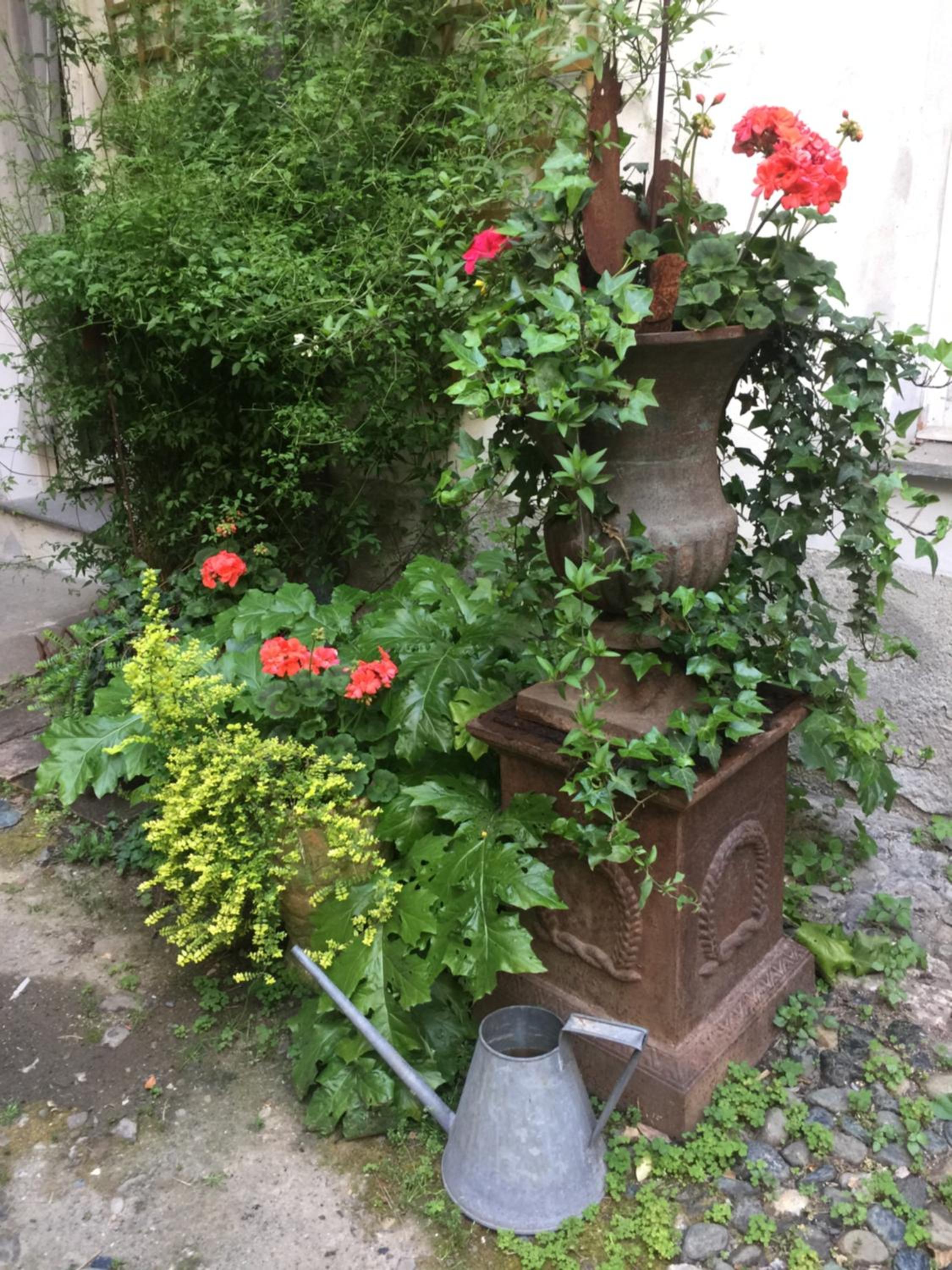 Photo 8