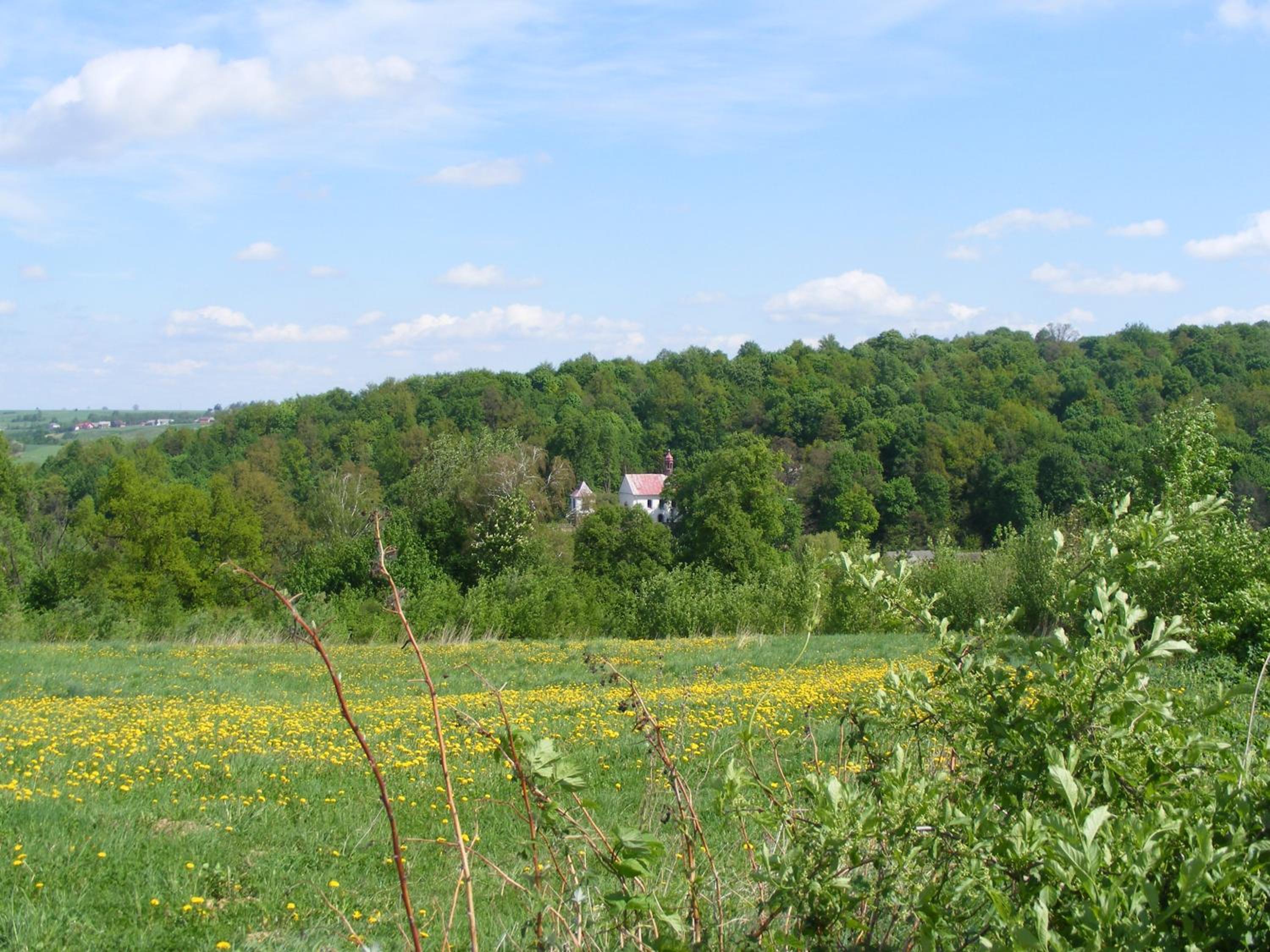 Dworek Lachowicze view 4