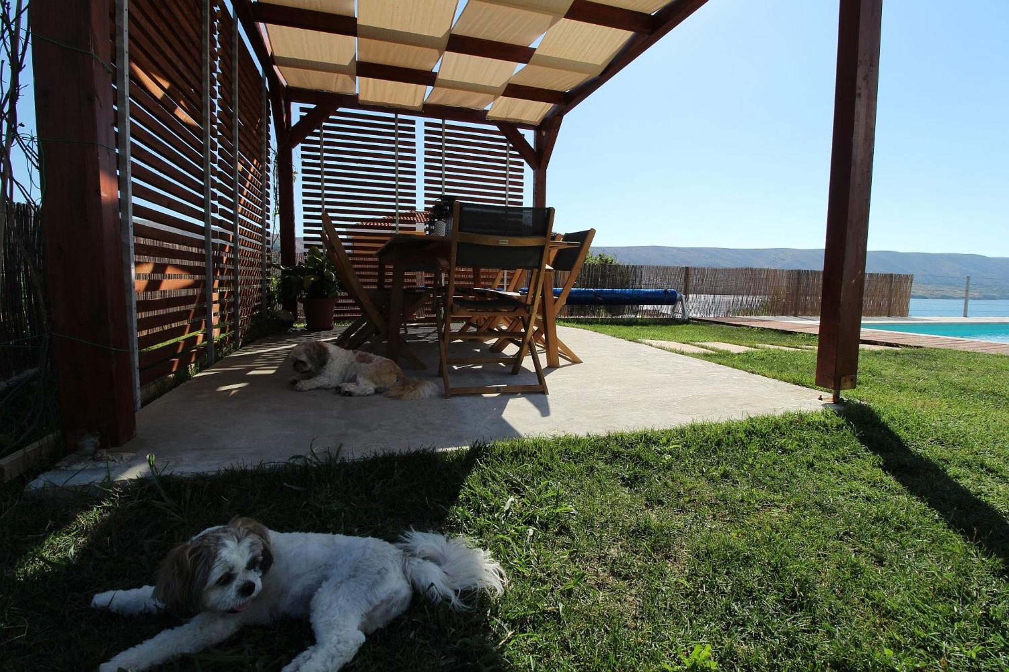 Photo 43