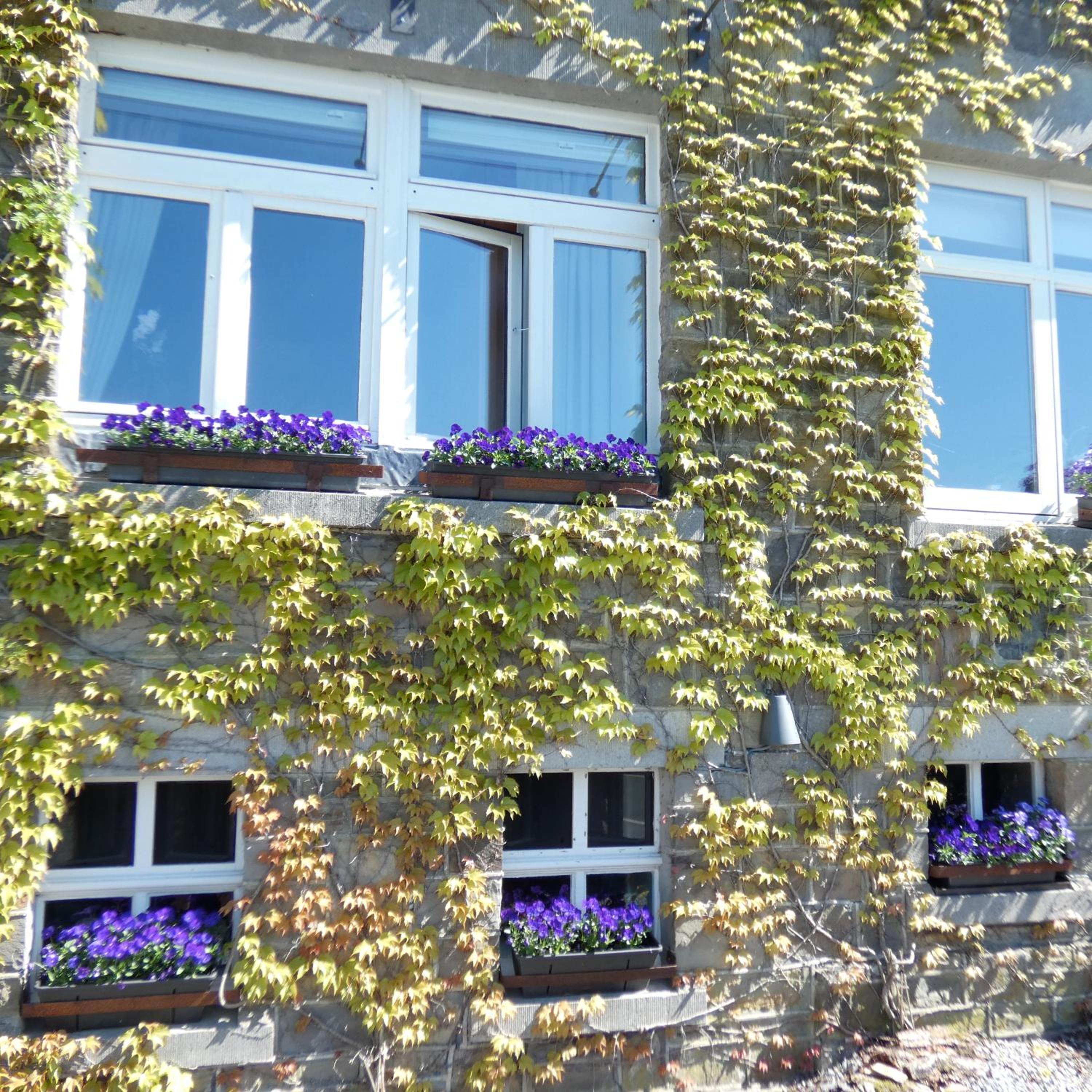Gite ancienne Imprimerie