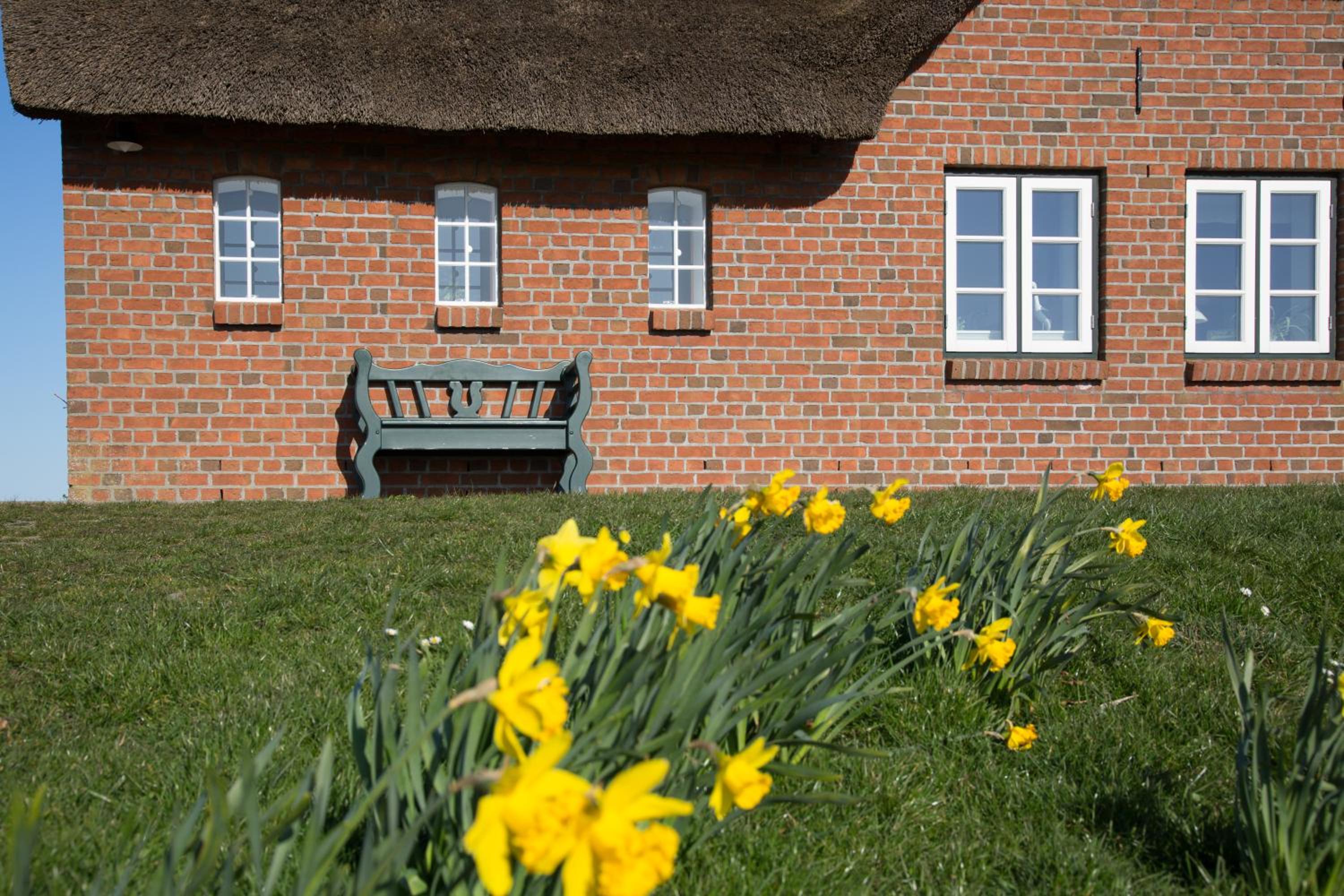 Paulas Haus Ferien unter Reet