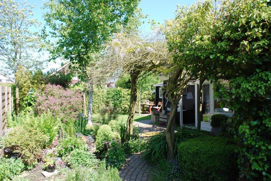 De ZeeuwSter en Burgh Haamstede — other